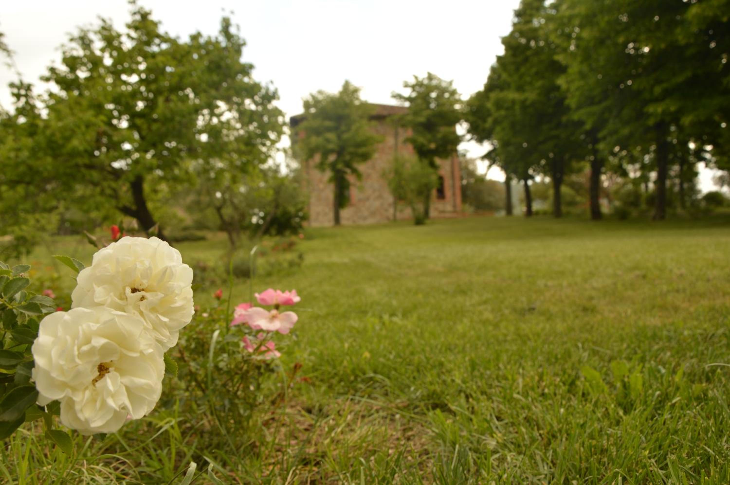 Agriturismo Riparossa