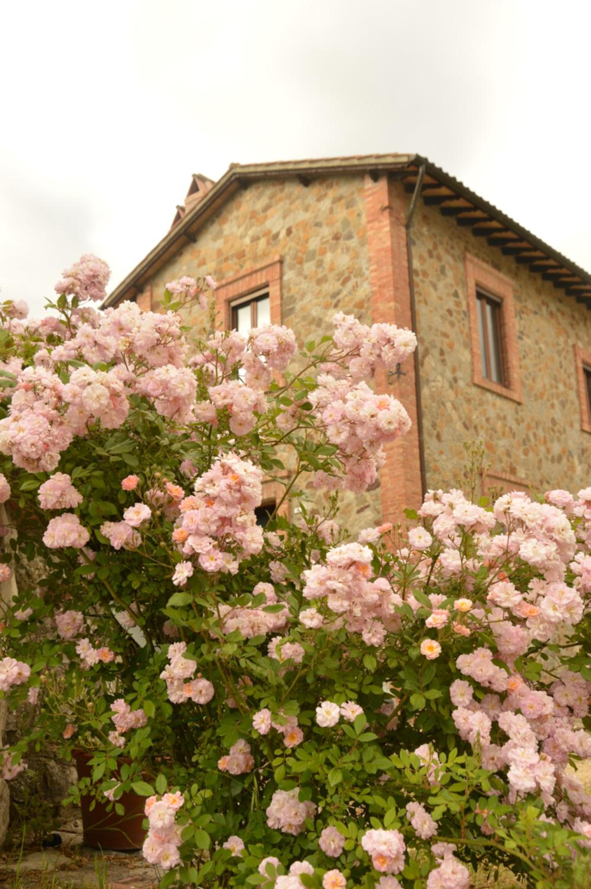 Agriturismo Riparossa