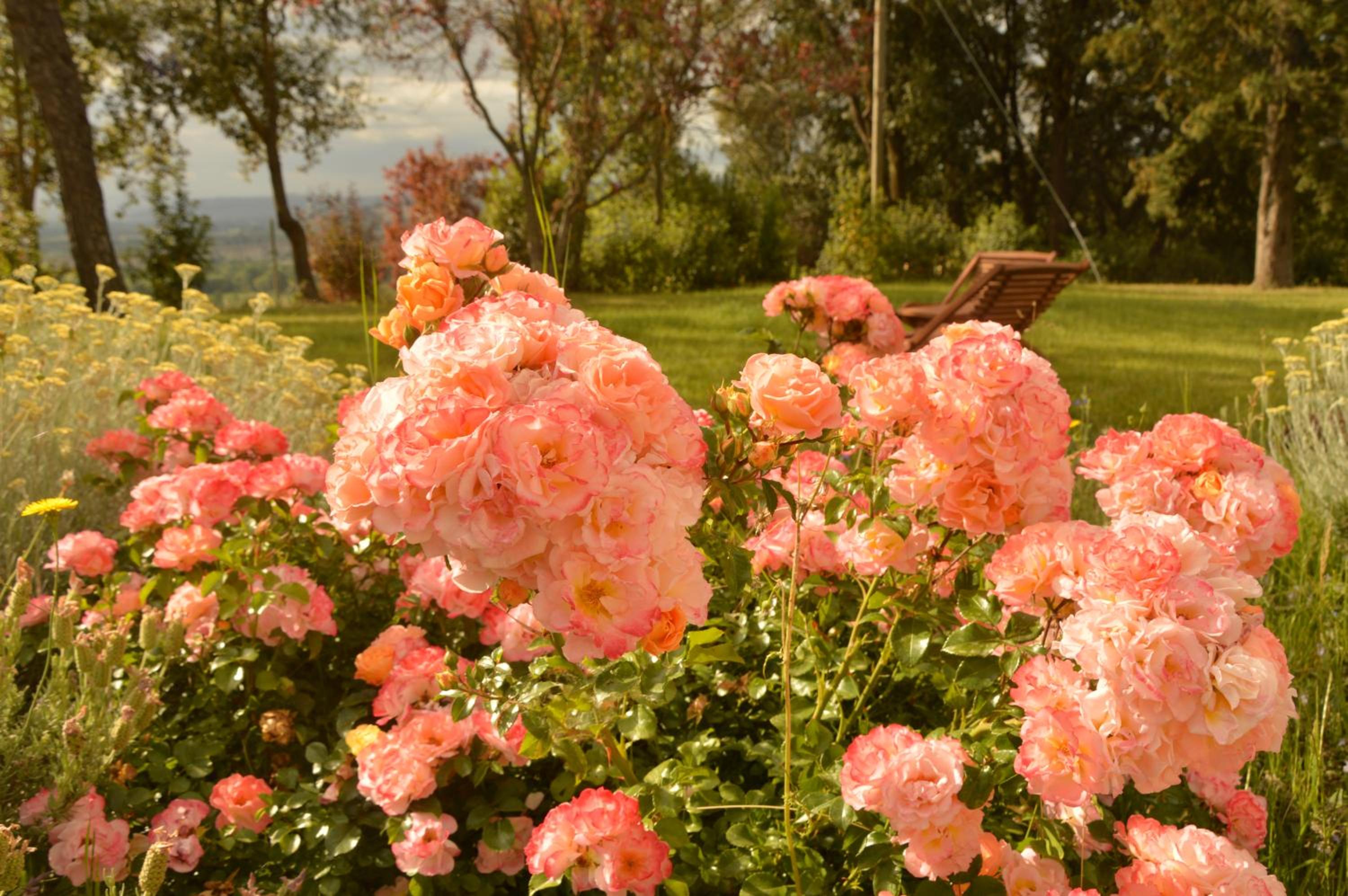 Agriturismo Riparossa