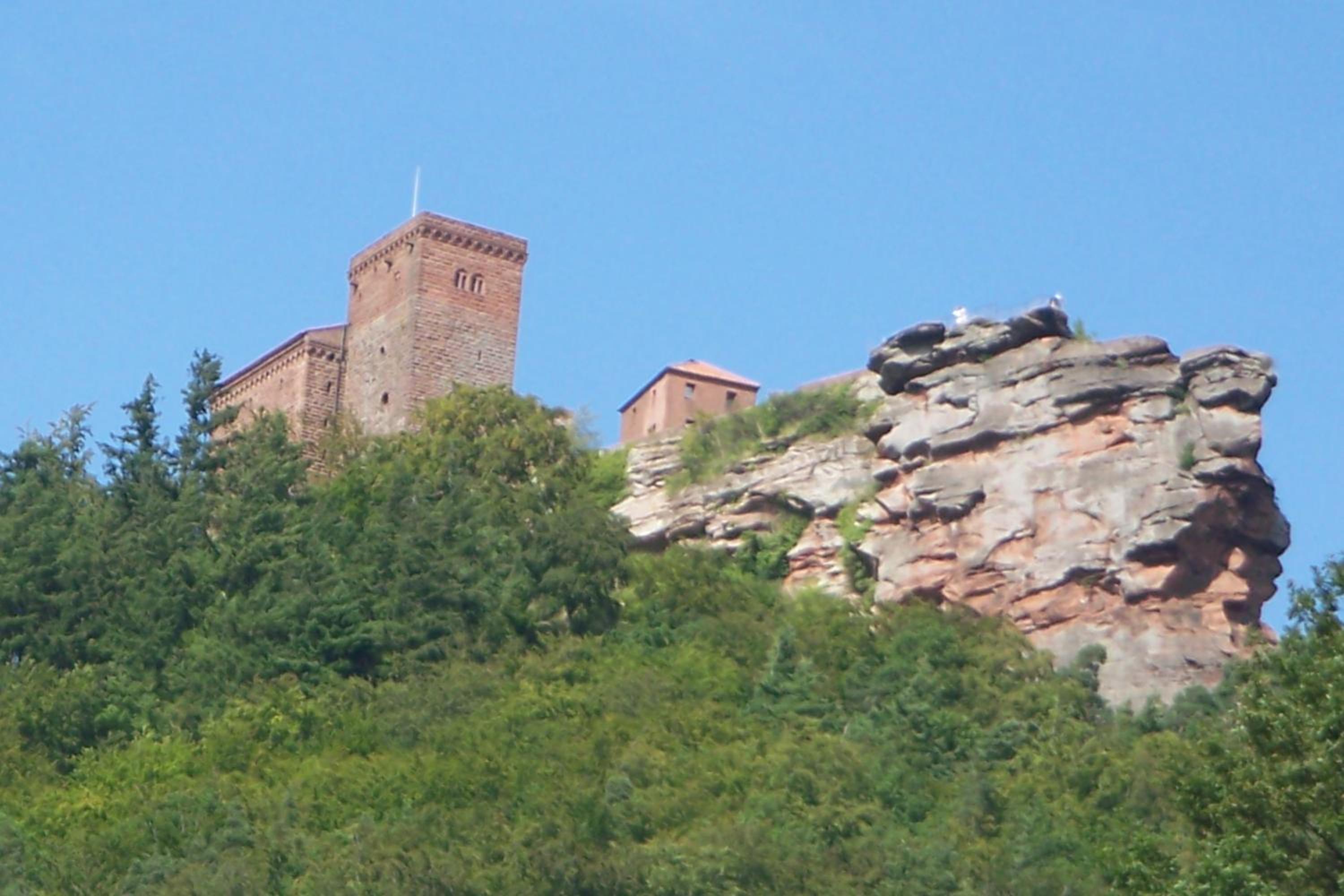 Photo 17