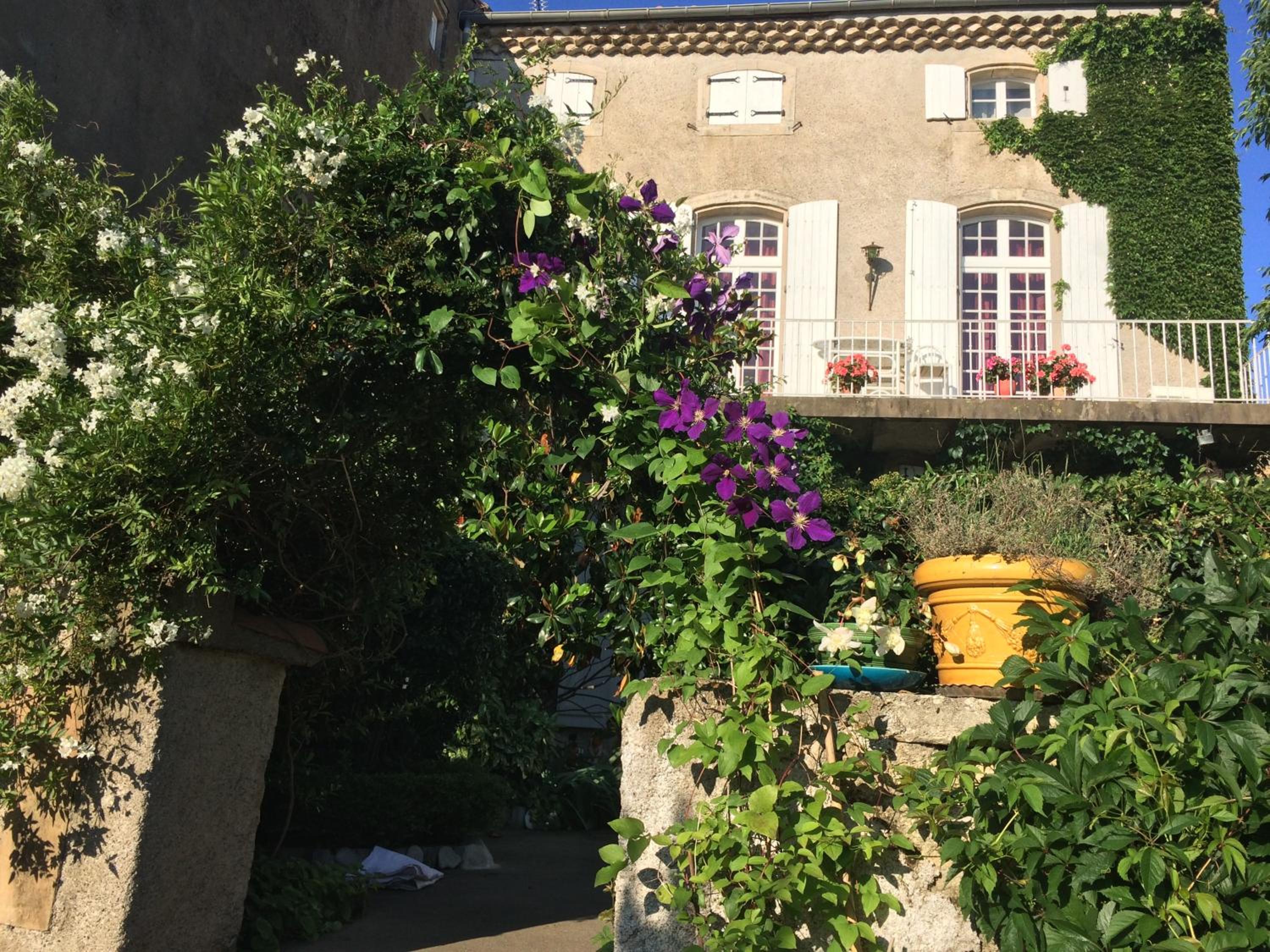 Photo 15
