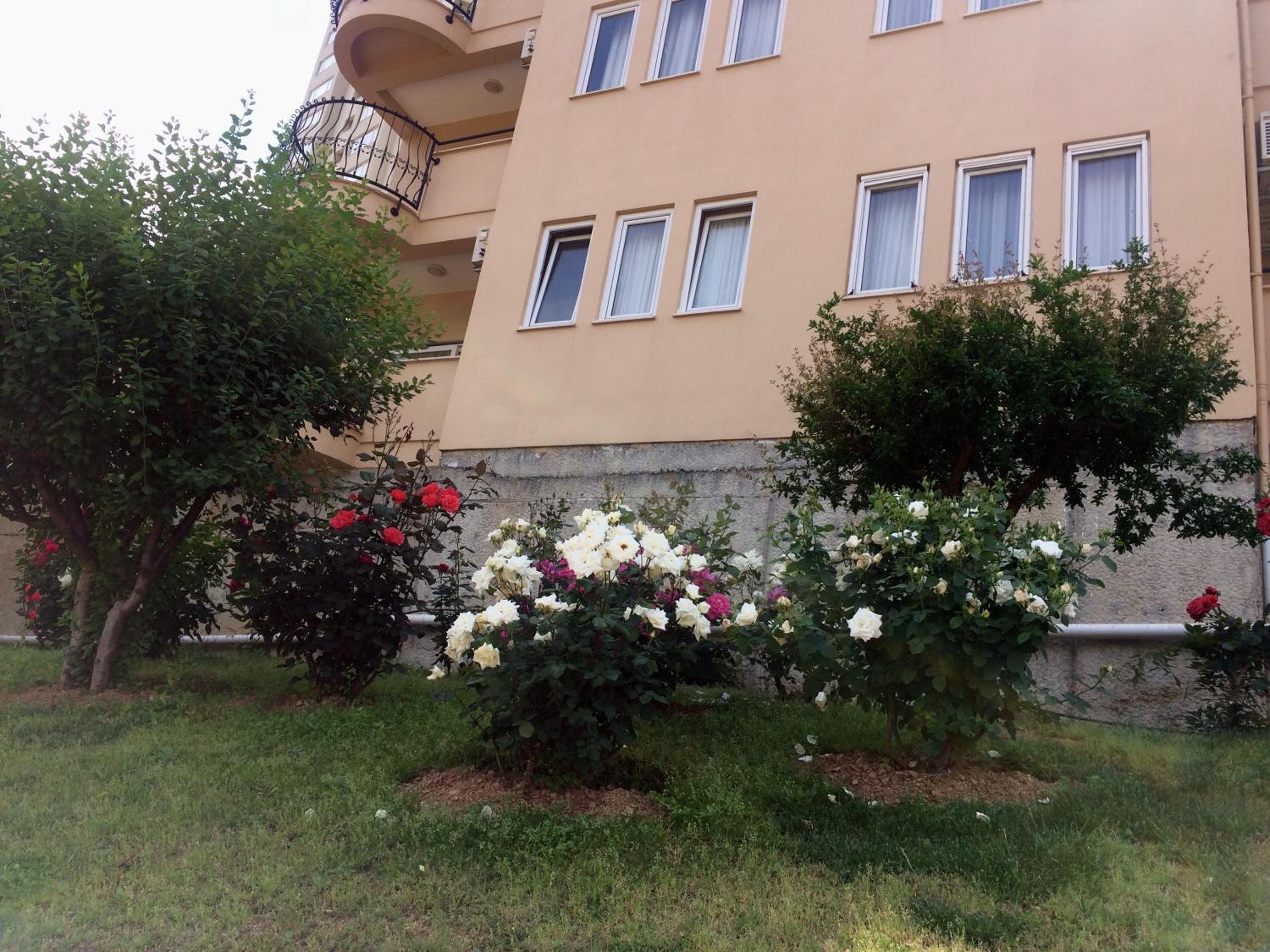 Photo 20