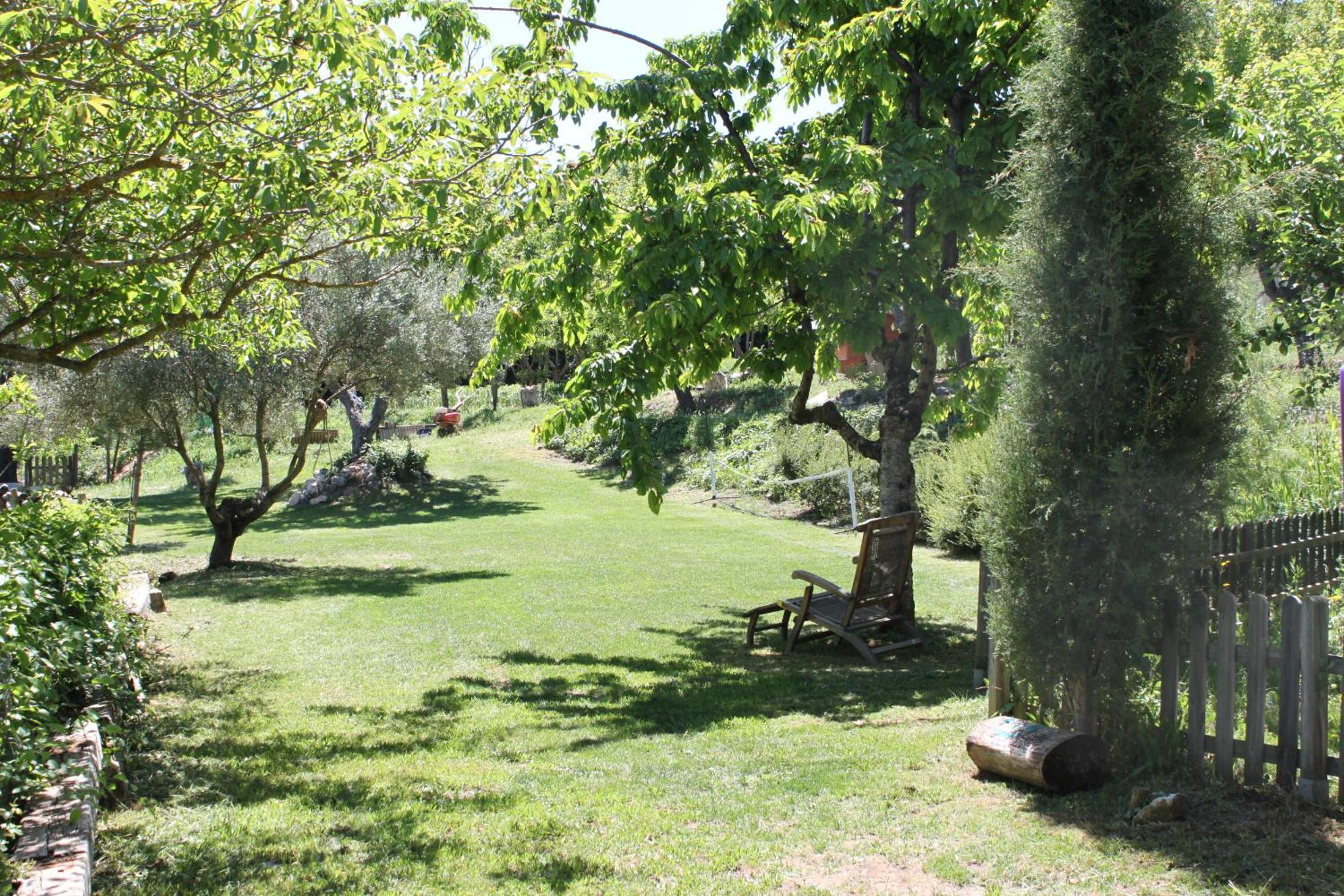 Photo 40