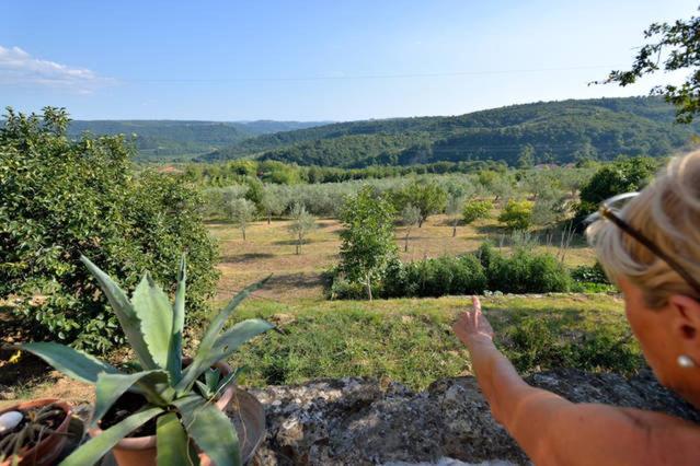 Apartments Baredi view 2