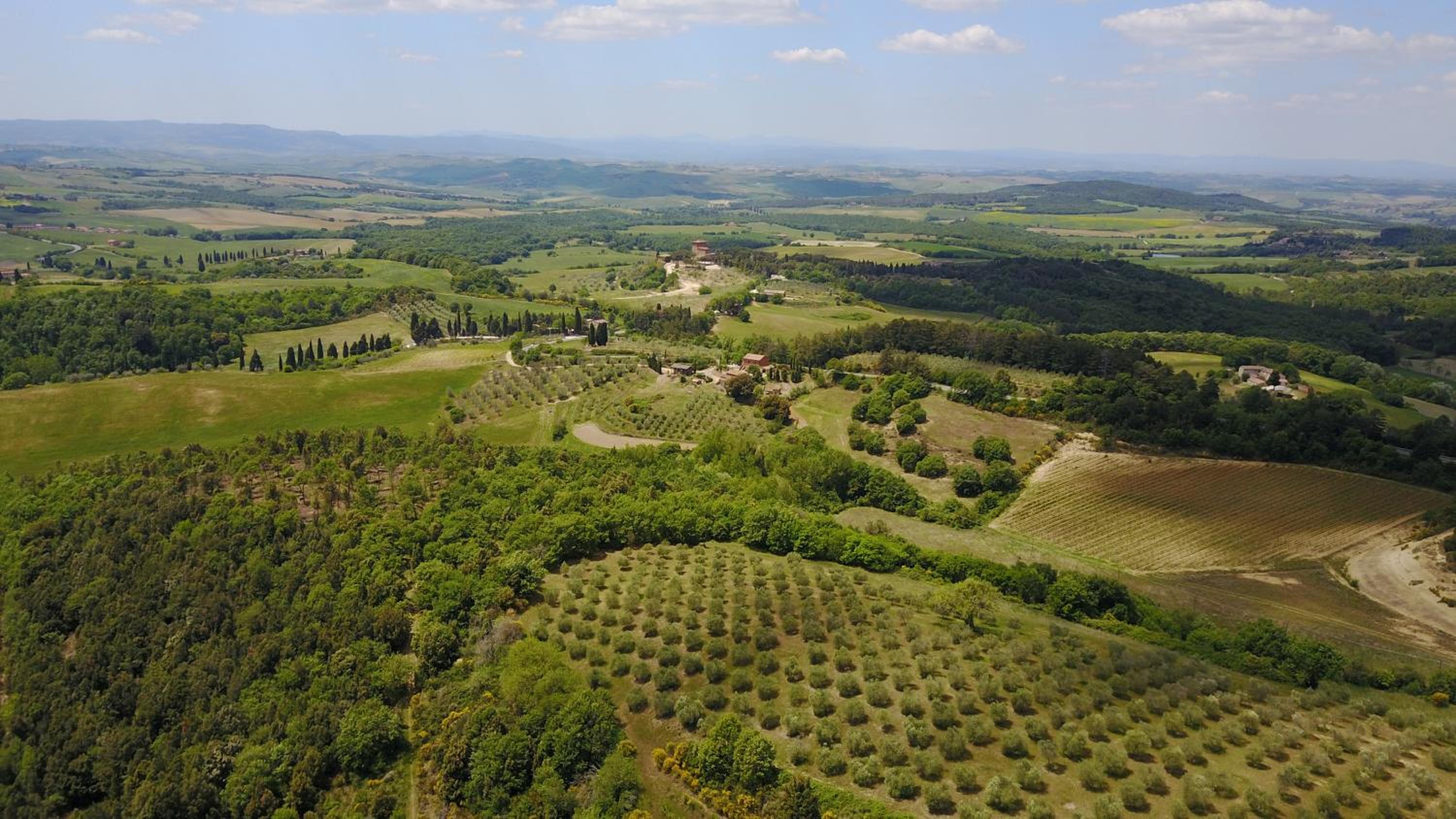 Tenuta Santo Pietro view 5