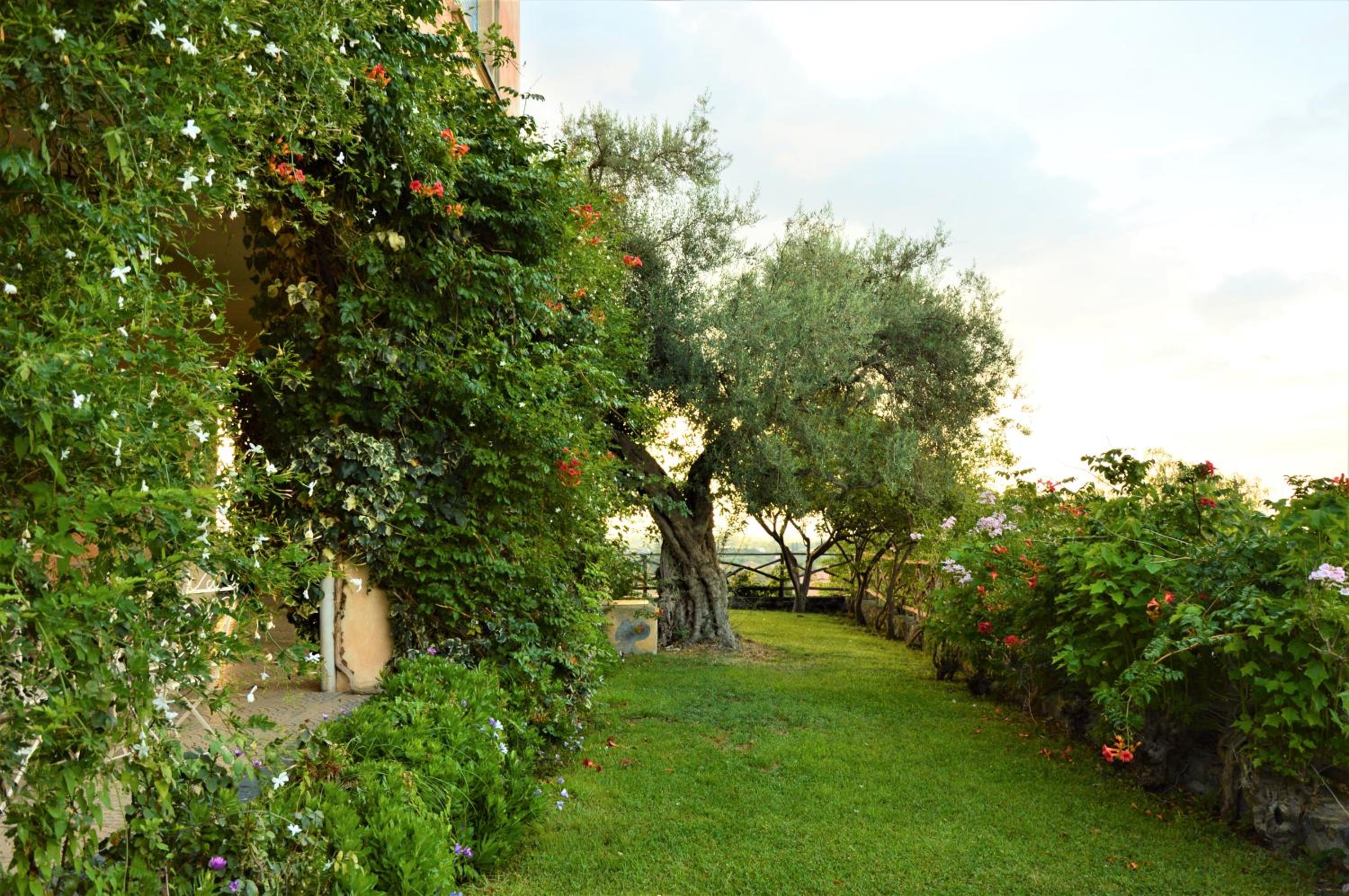 Antico Borgo Etneo Country Hotel