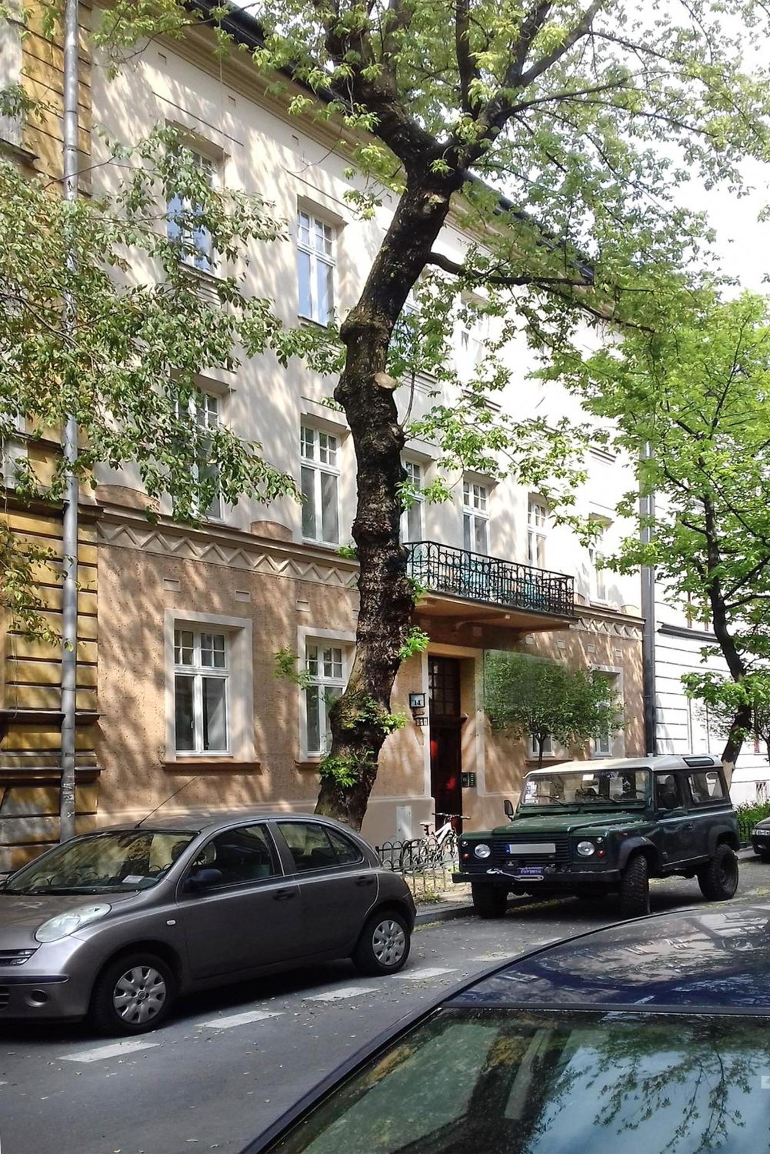 Photo 37