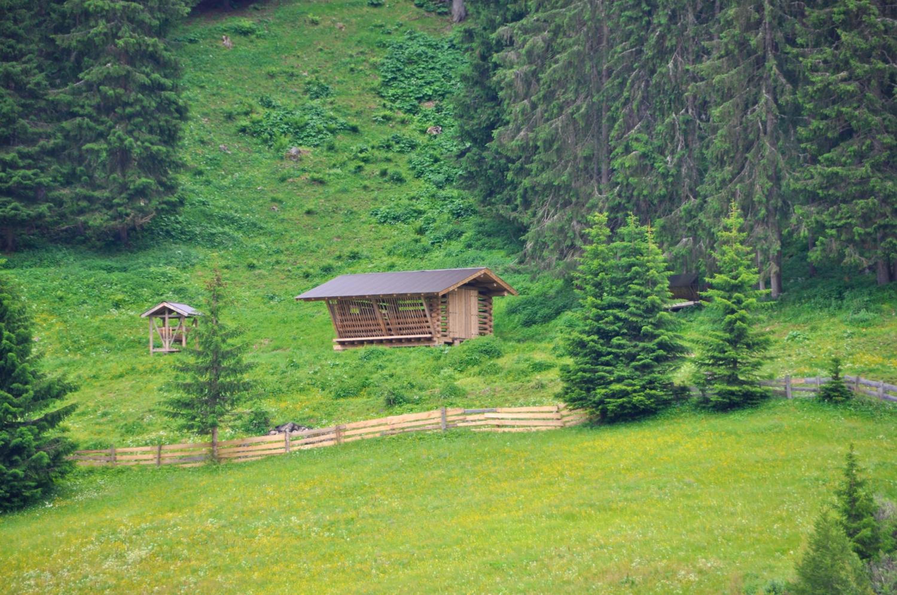 Photo 44