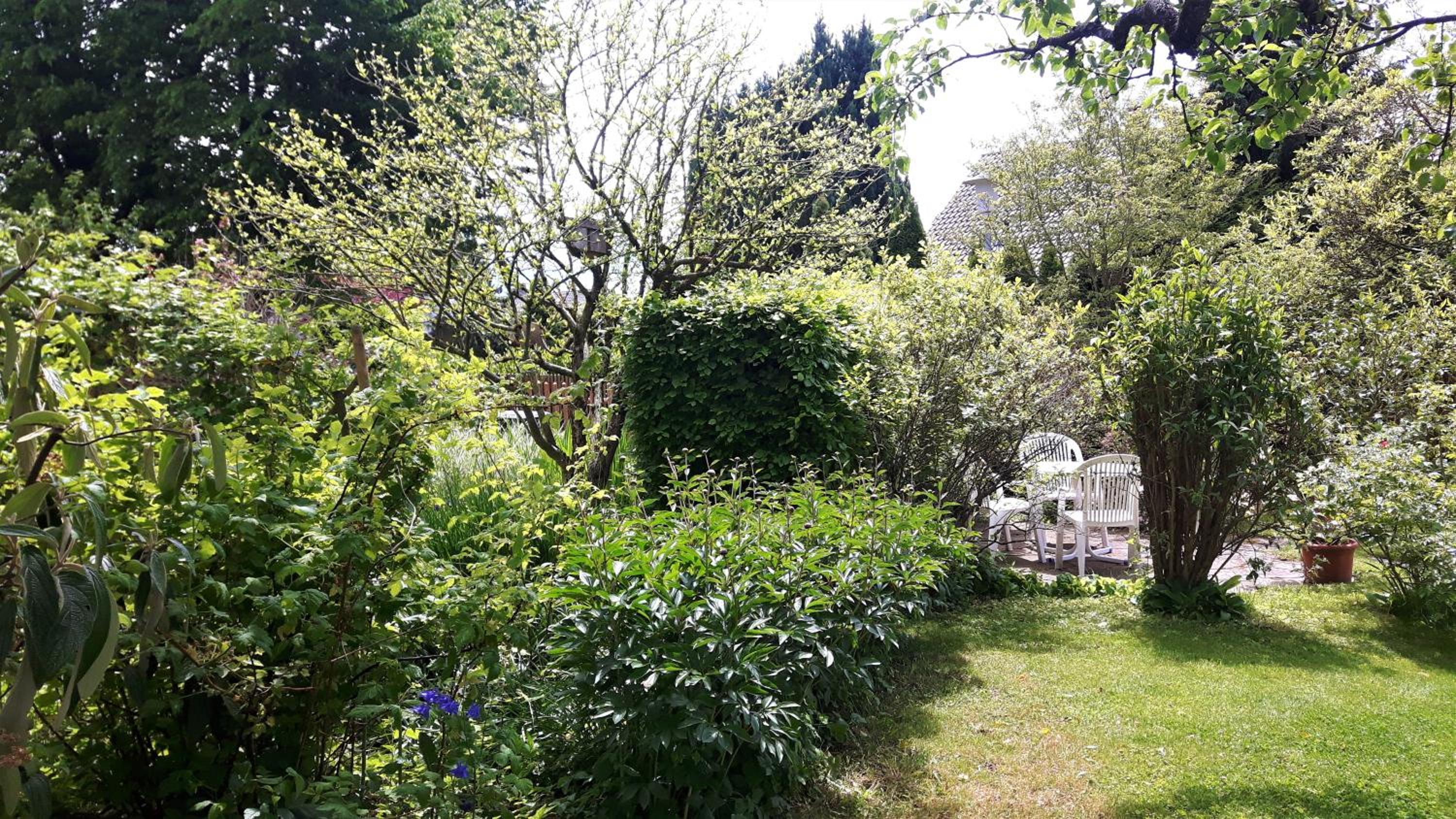 Photo 33