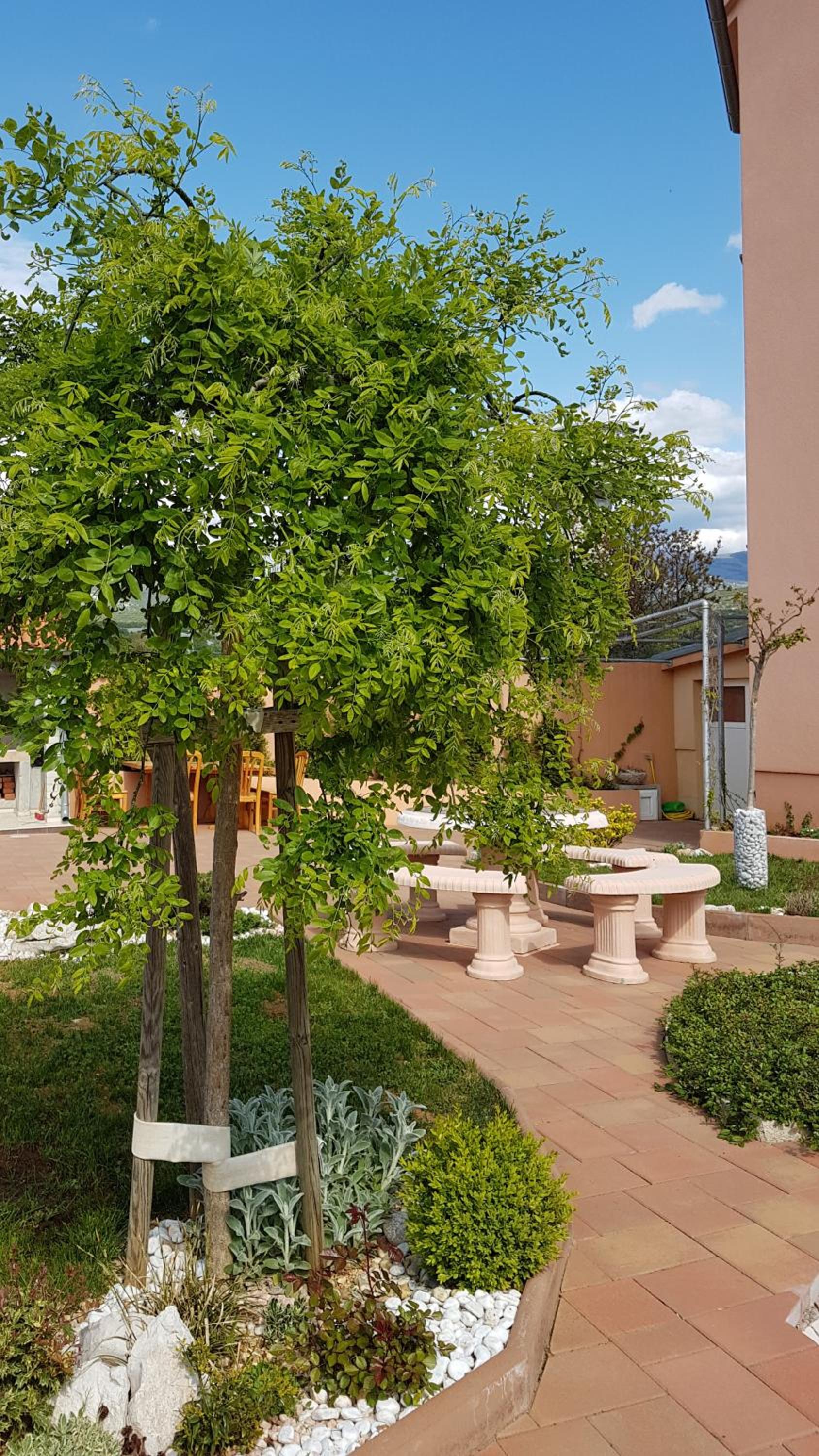 Apartments Suzana view 4