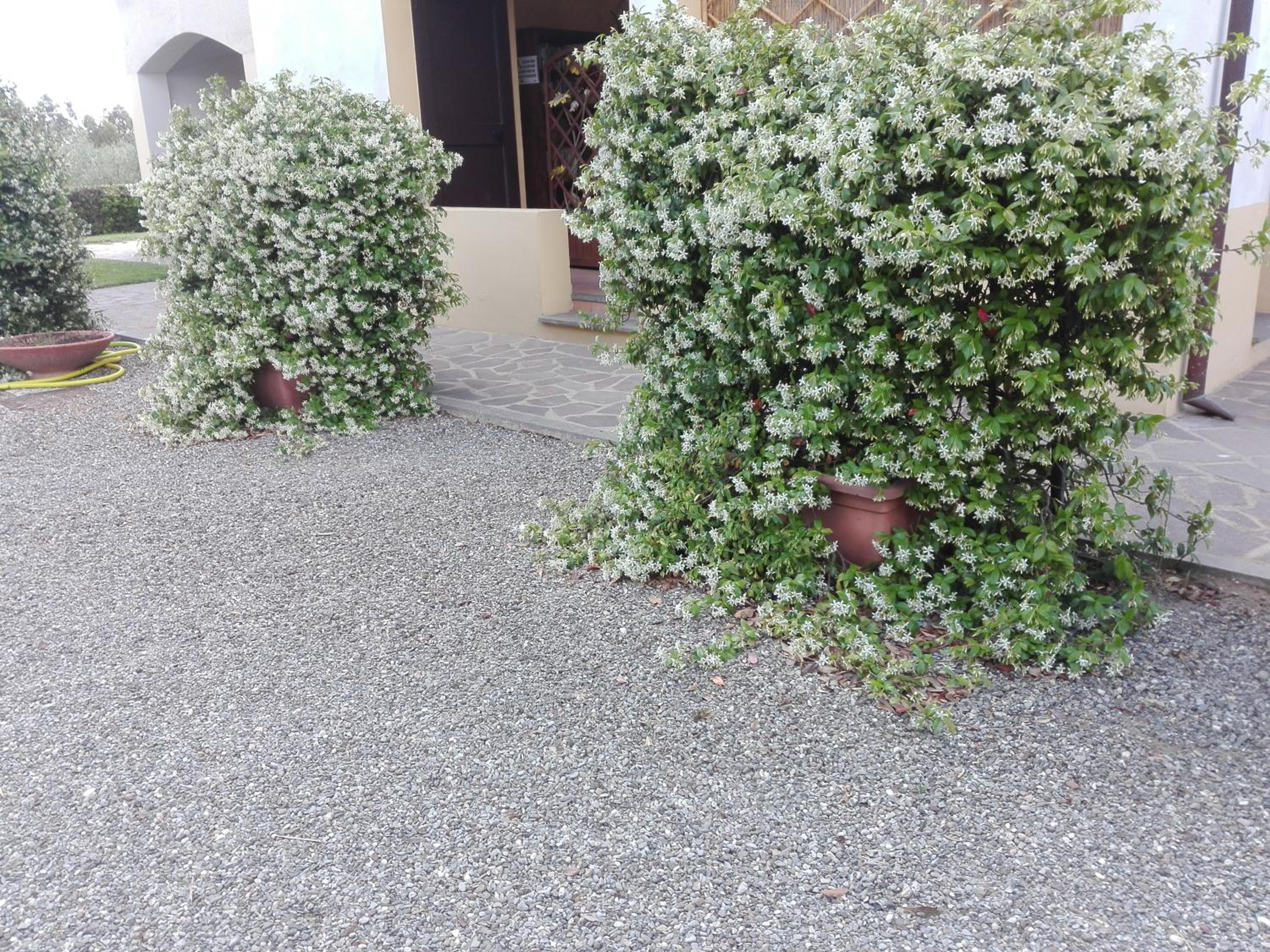 Photo 52