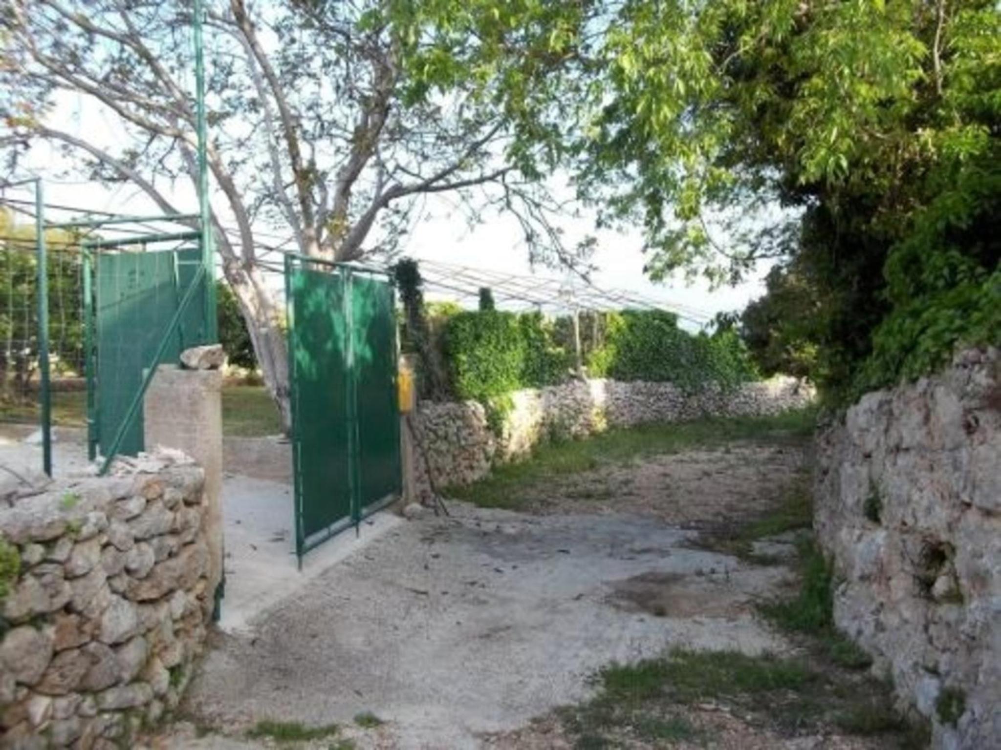 Photo 20