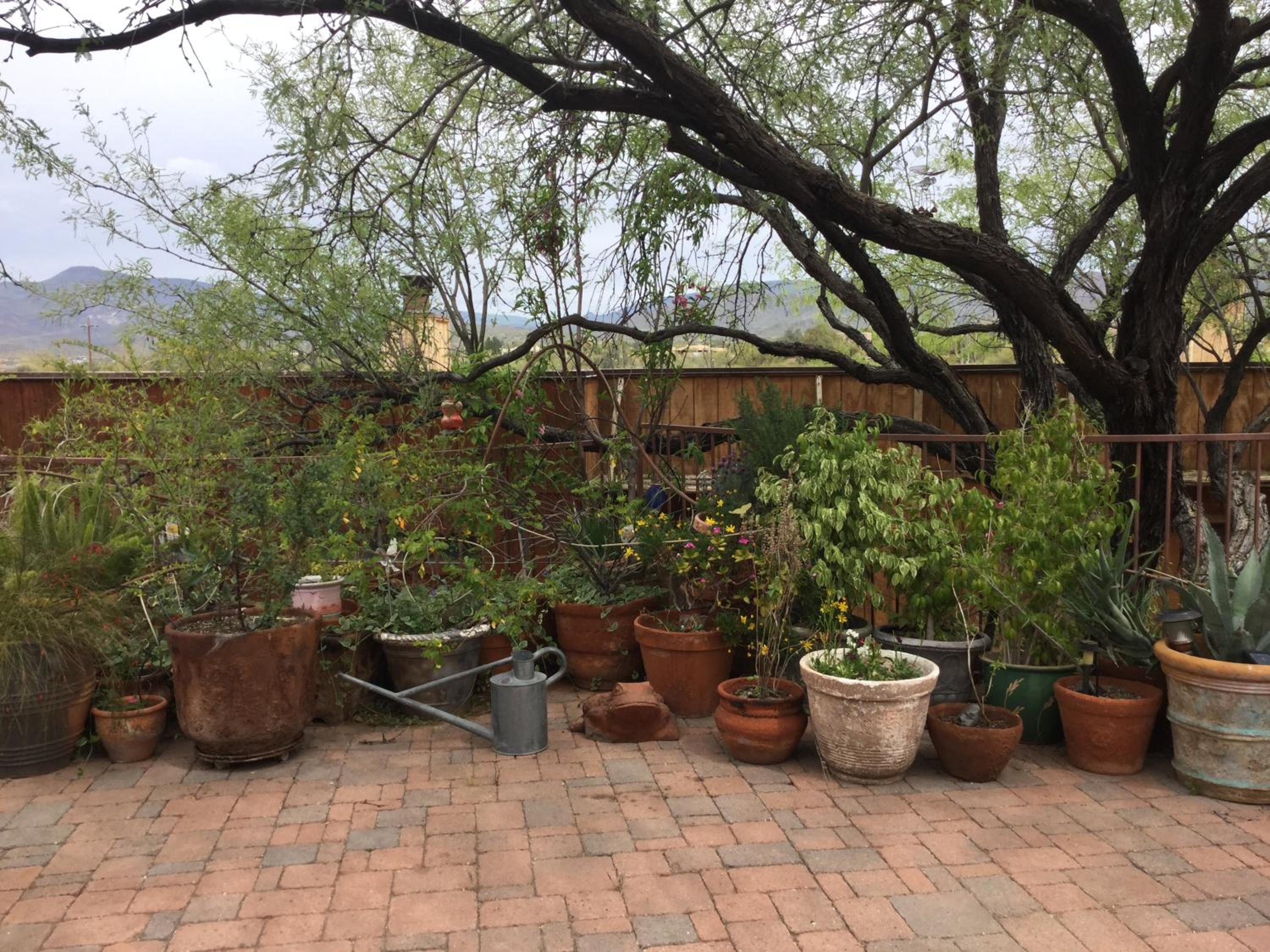 Photo 13