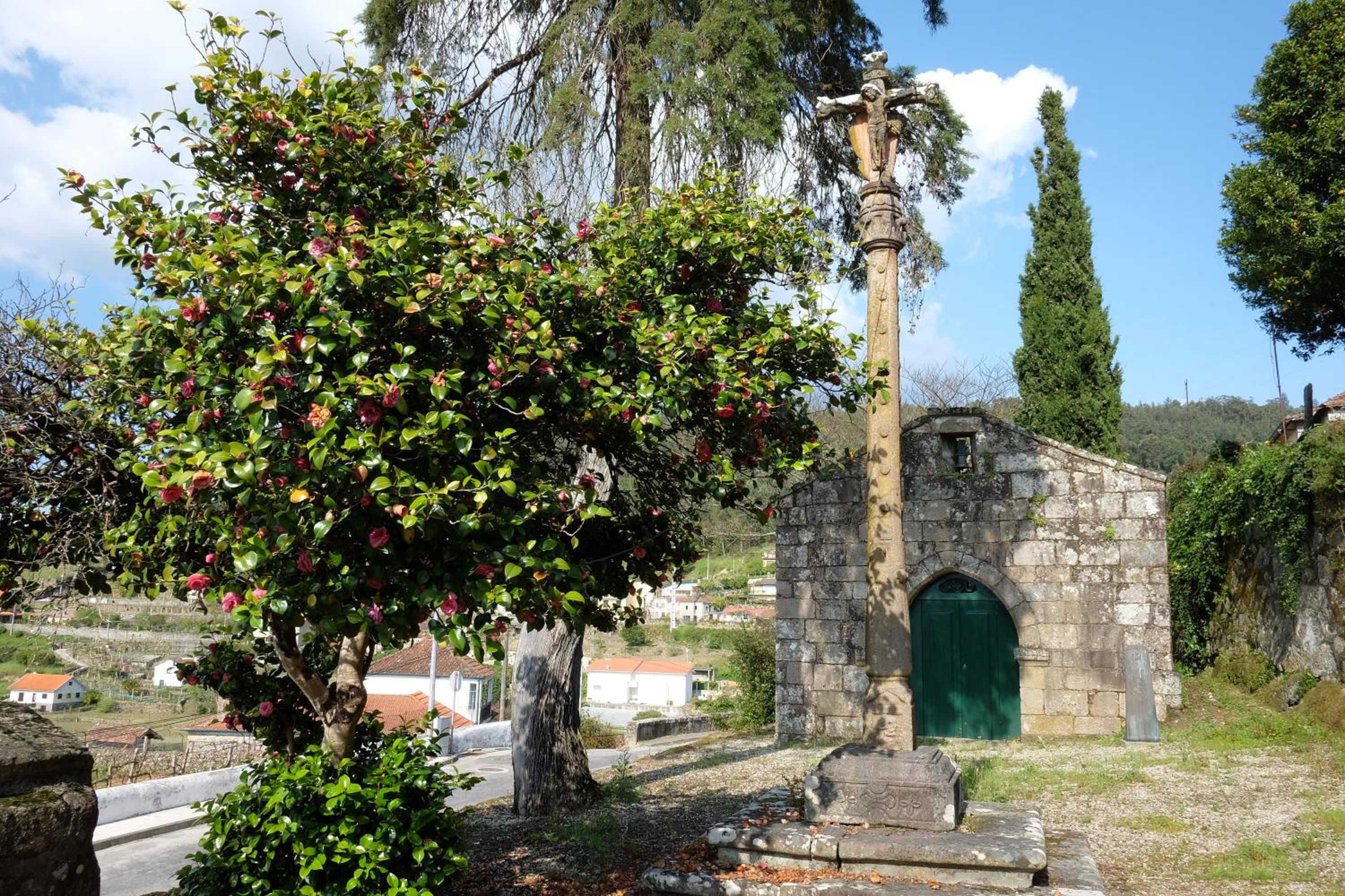 Quinta da Calçada view 5