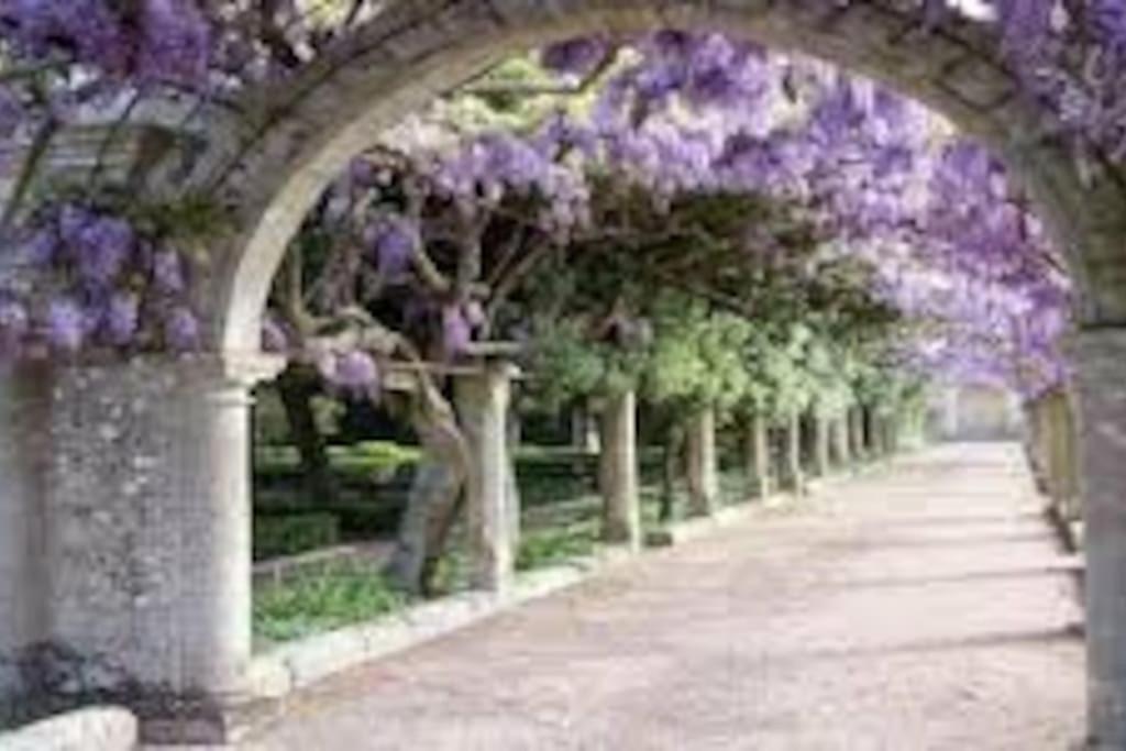 Photo 40