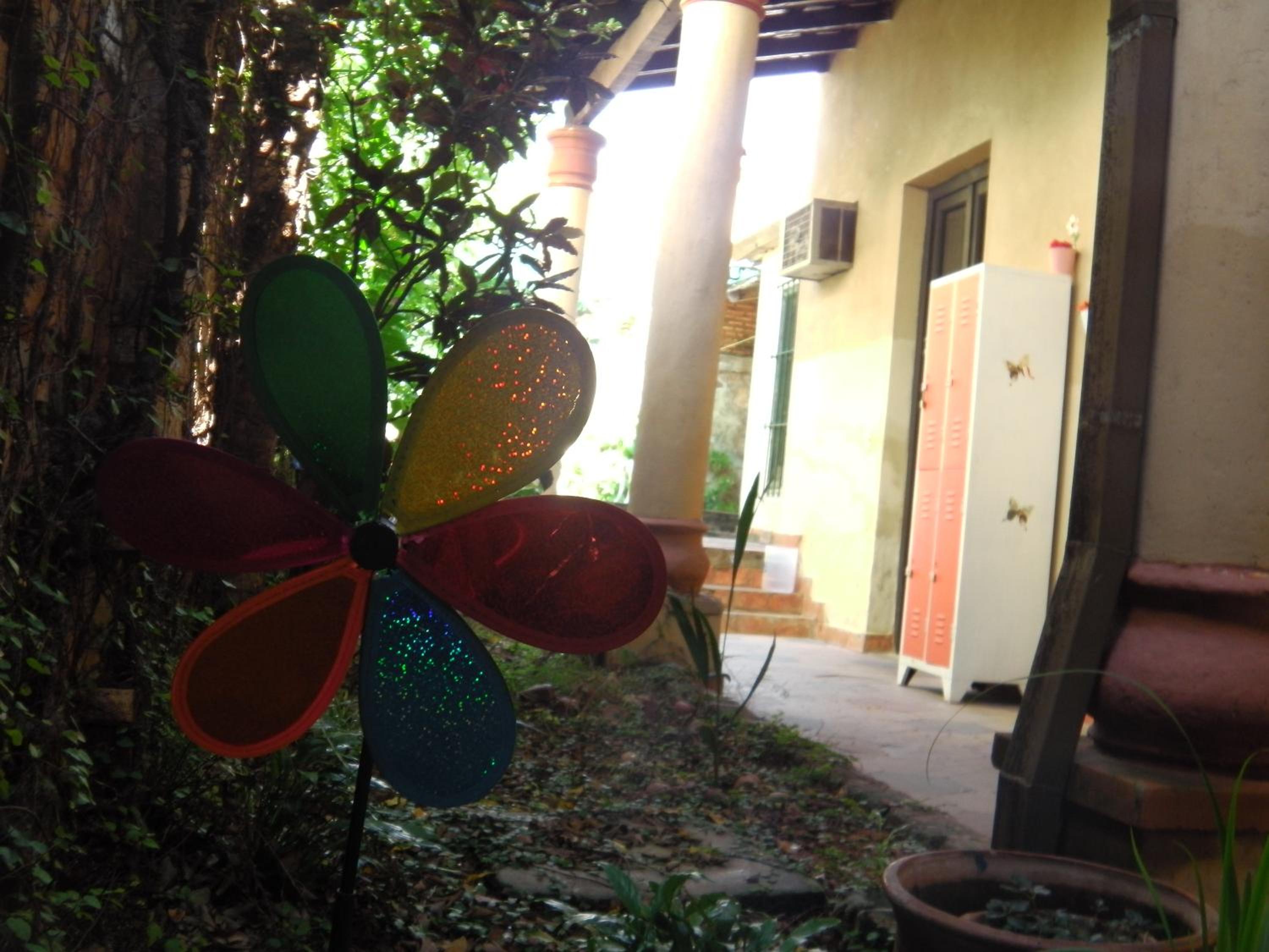 Photo 6