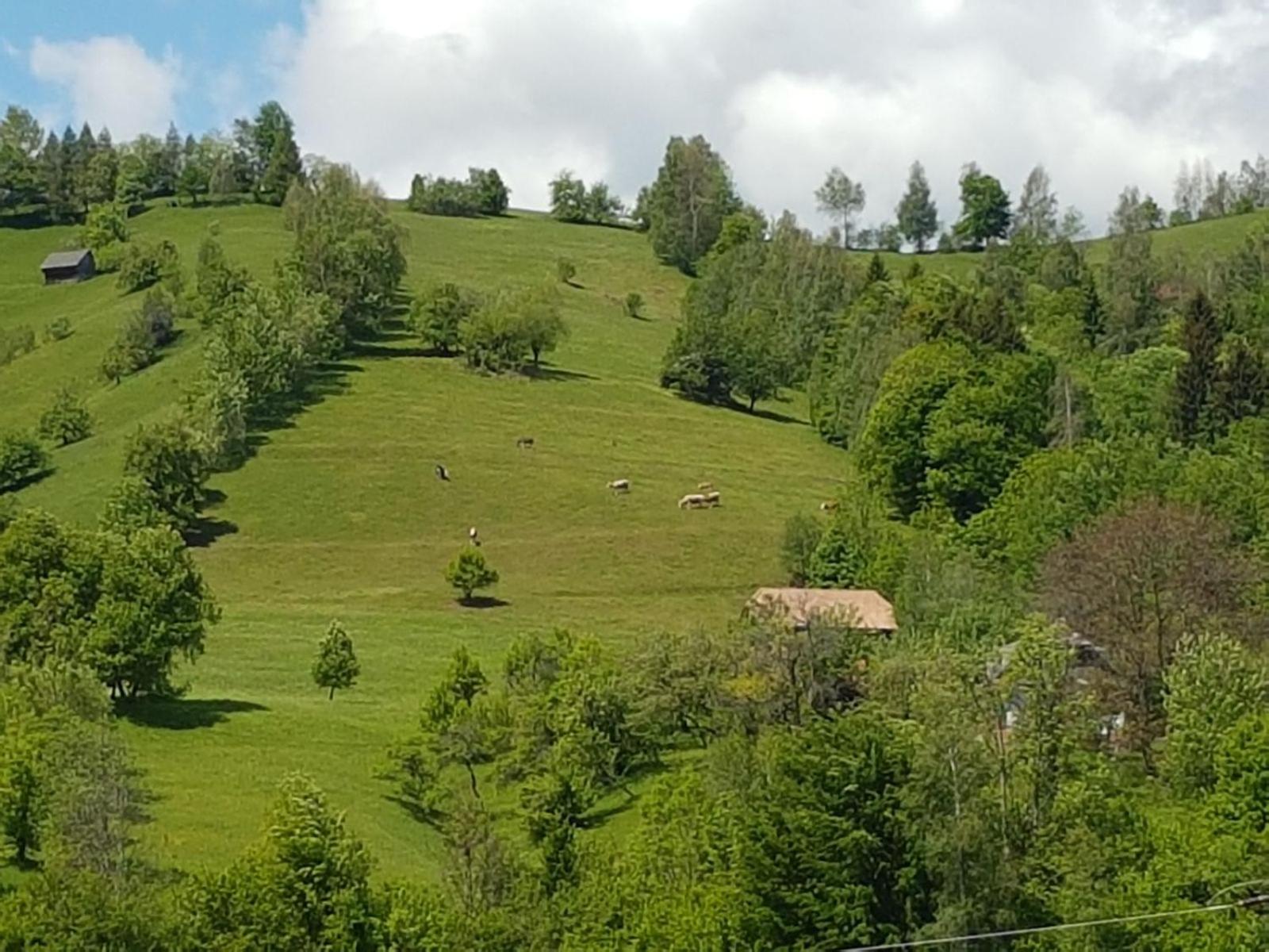 Casa Mon Reve
