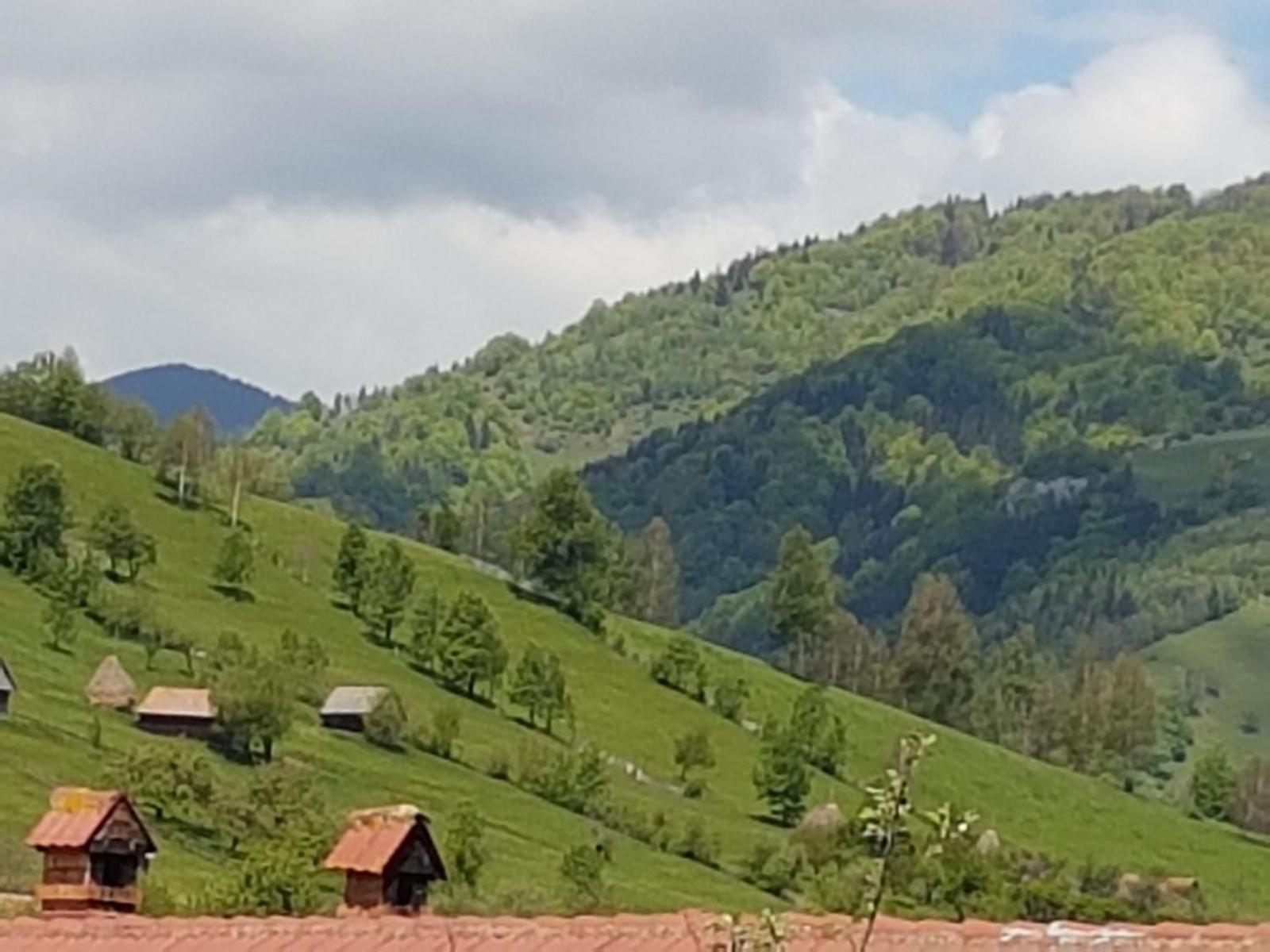 Casa Mon Reve