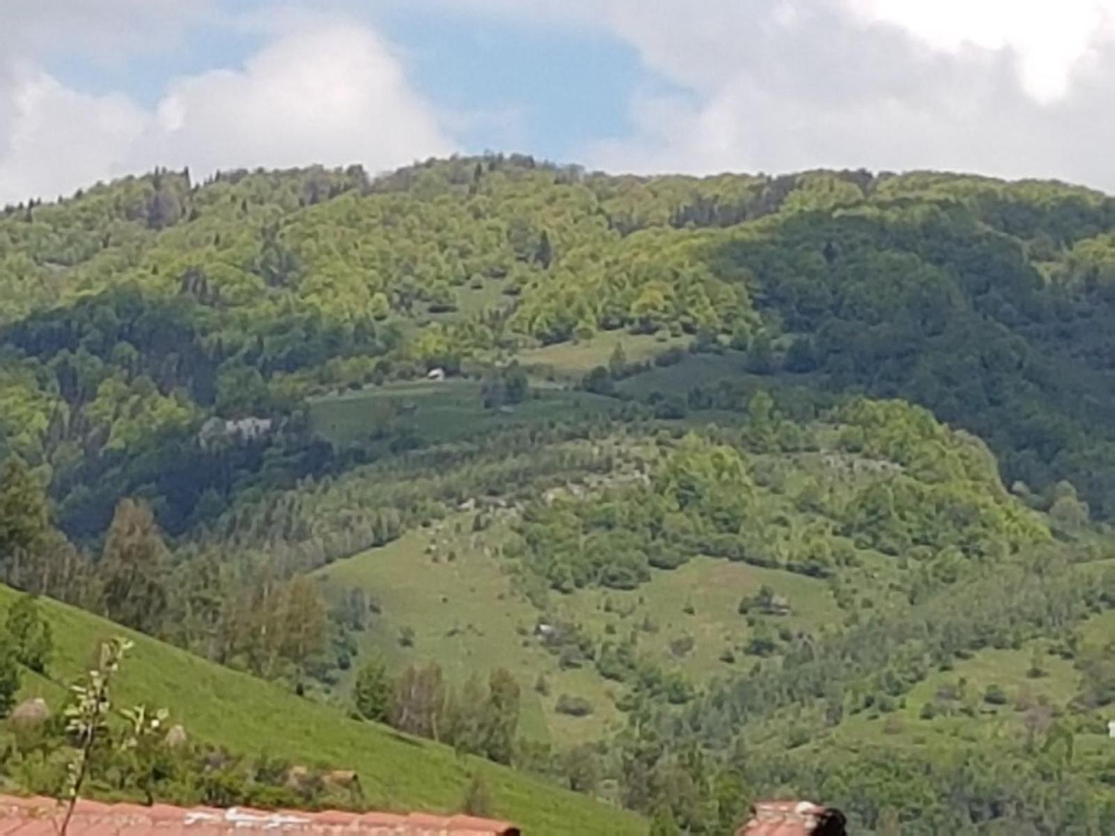 Casa Mon Reve
