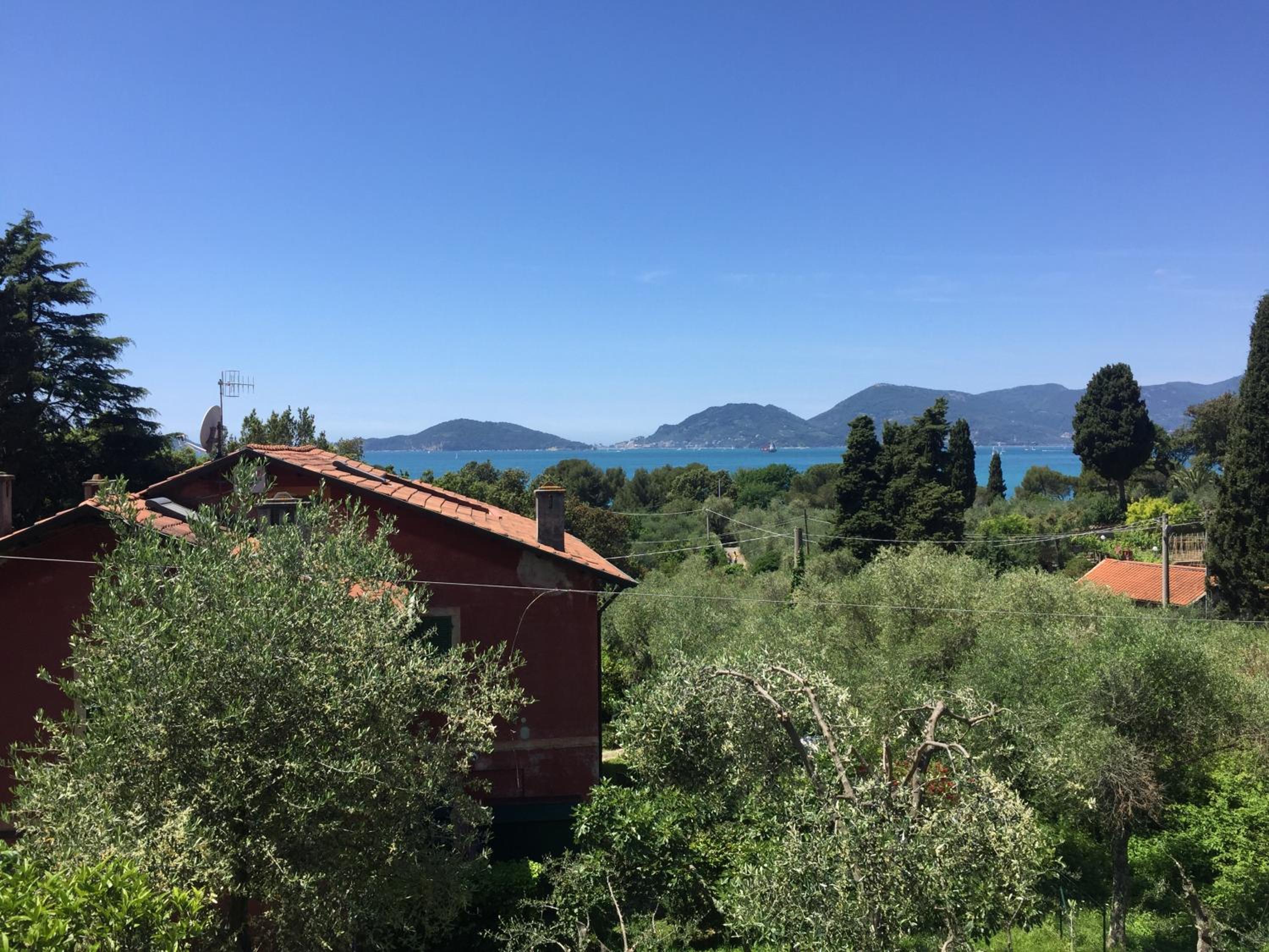Il Delfino