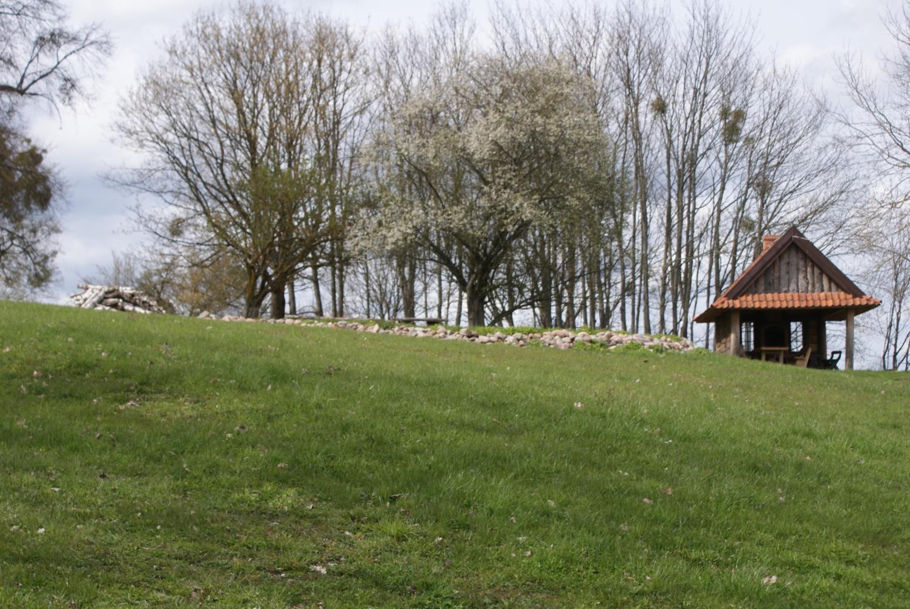 Photo 40