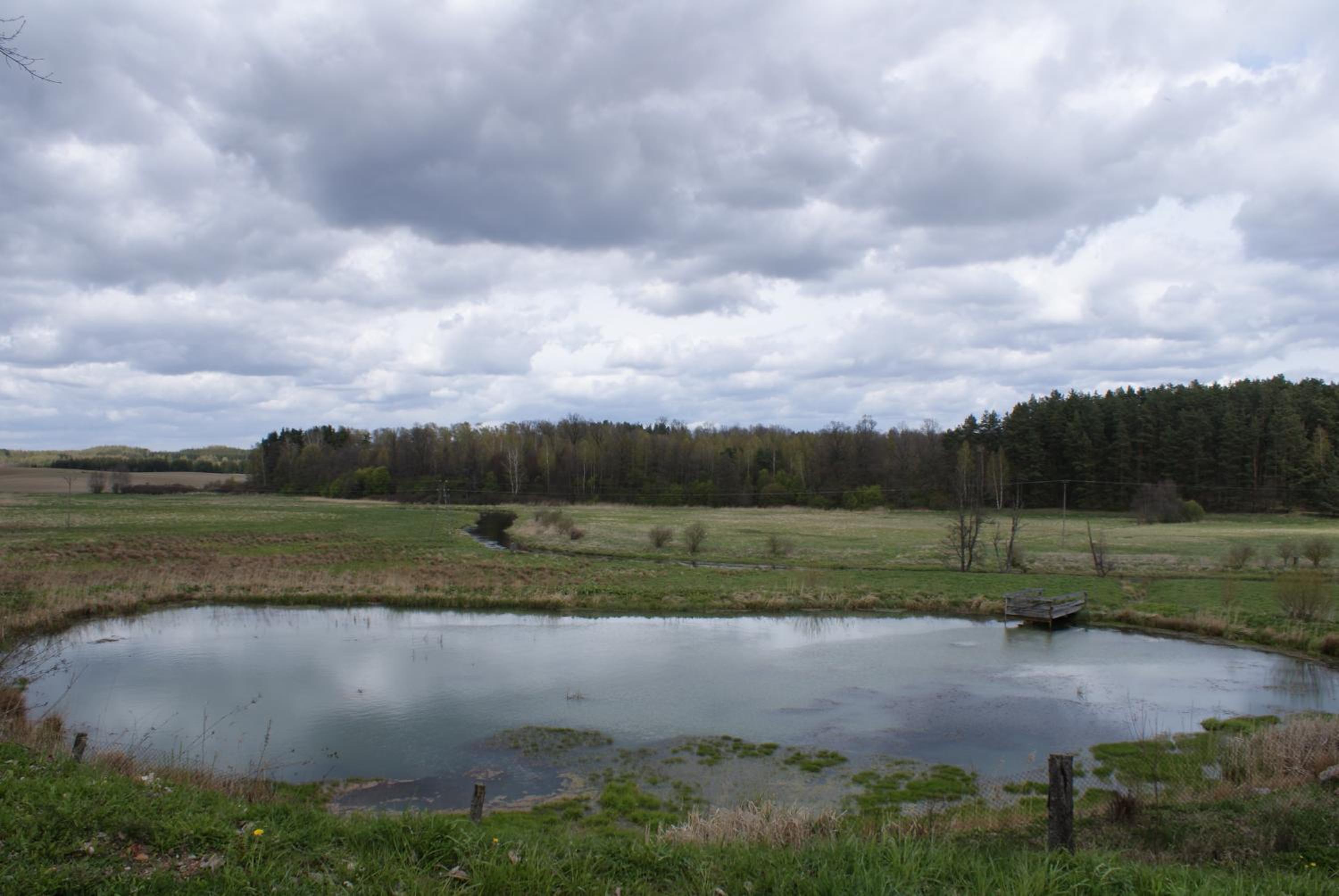 Photo 48