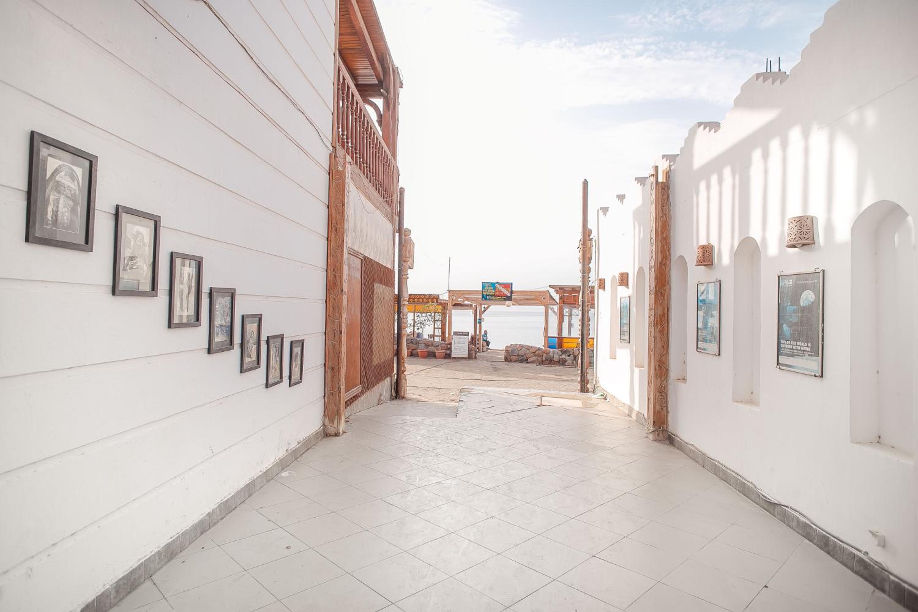 Dahab Divers