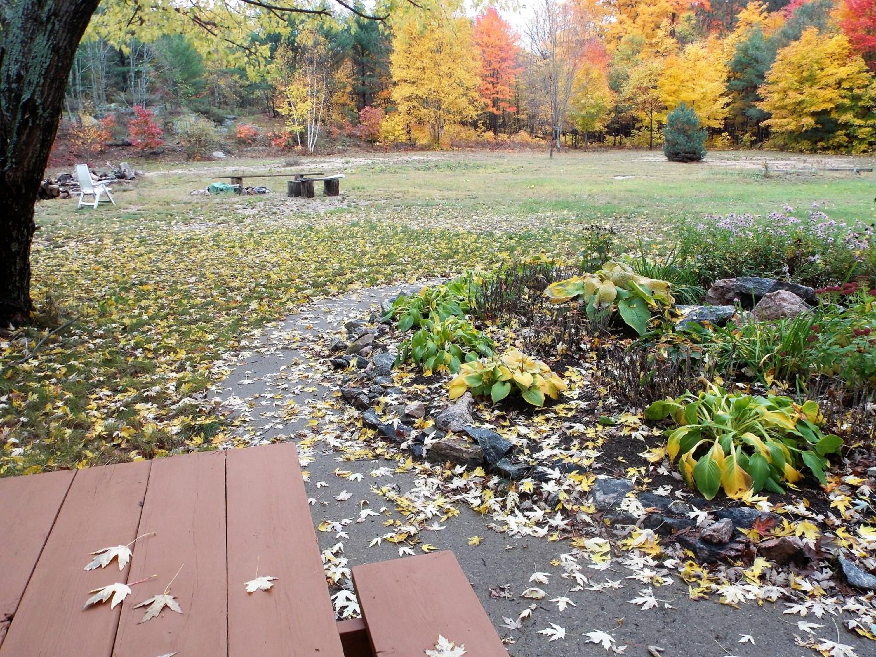 Bear & Butterfly Bed and Breakfast