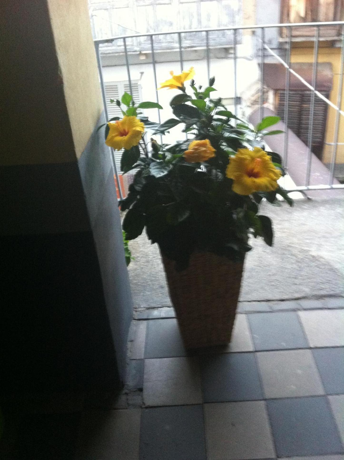 Photo 49