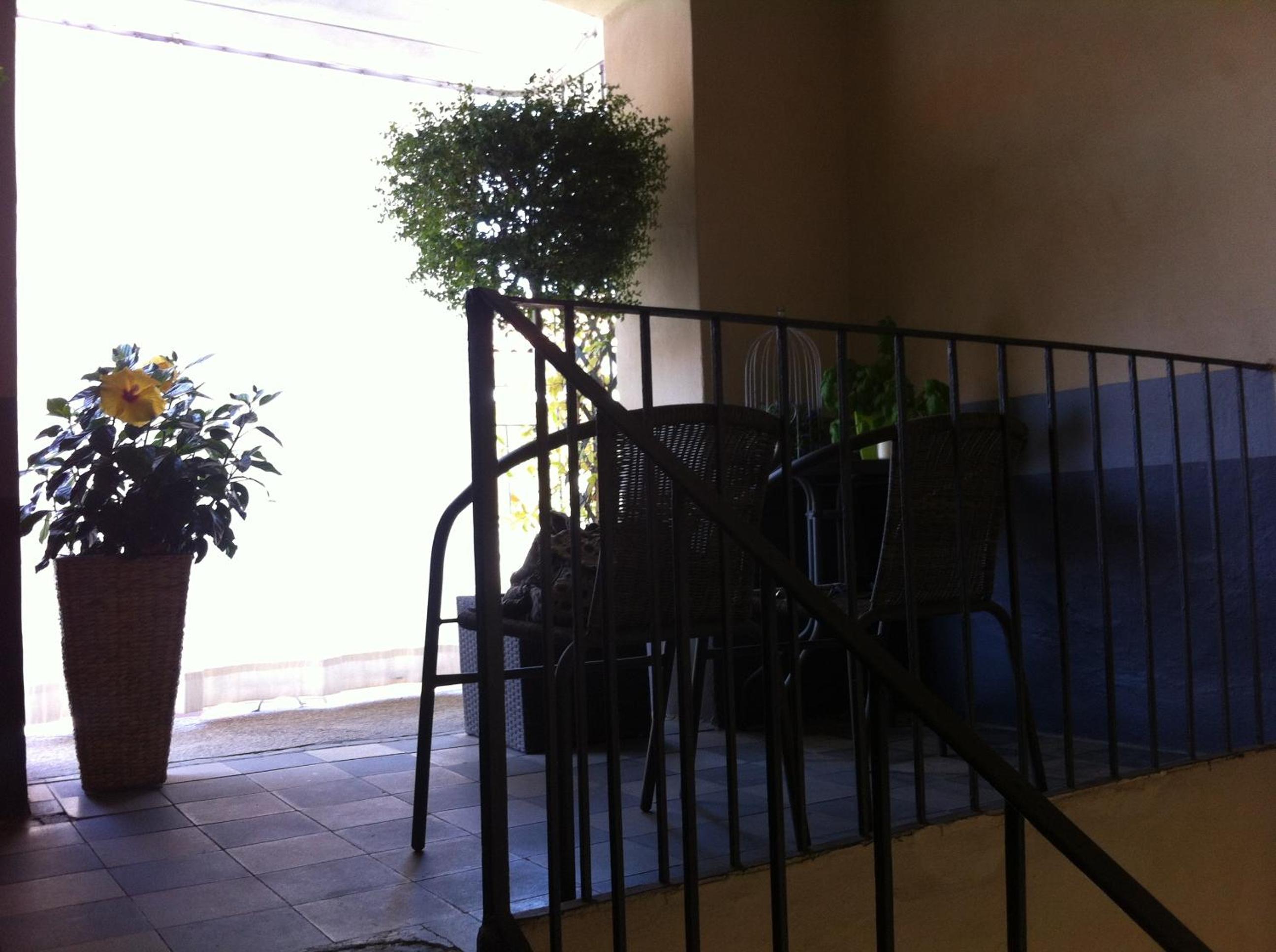 Photo 38