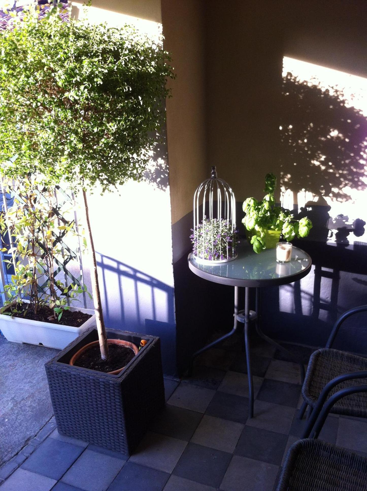 Photo 47