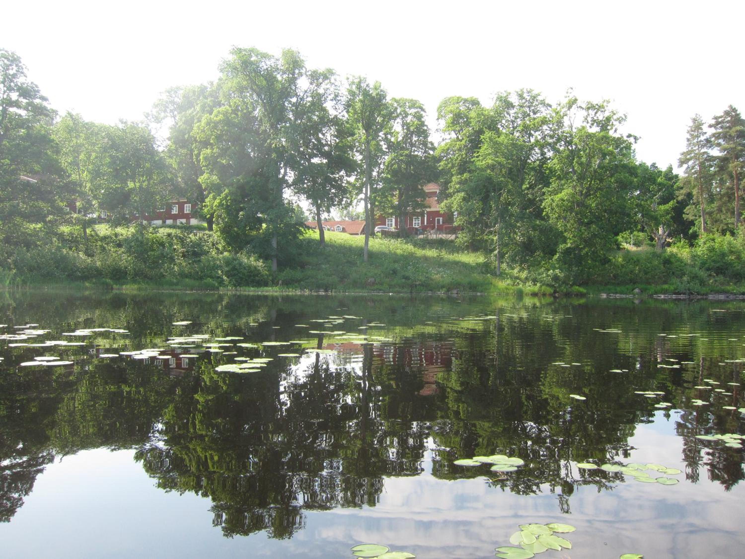 Photo 27