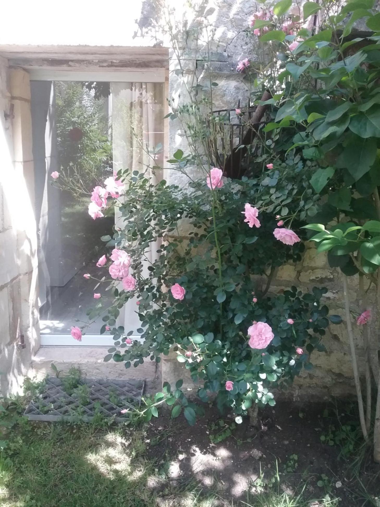 B&B Le verger view 2
