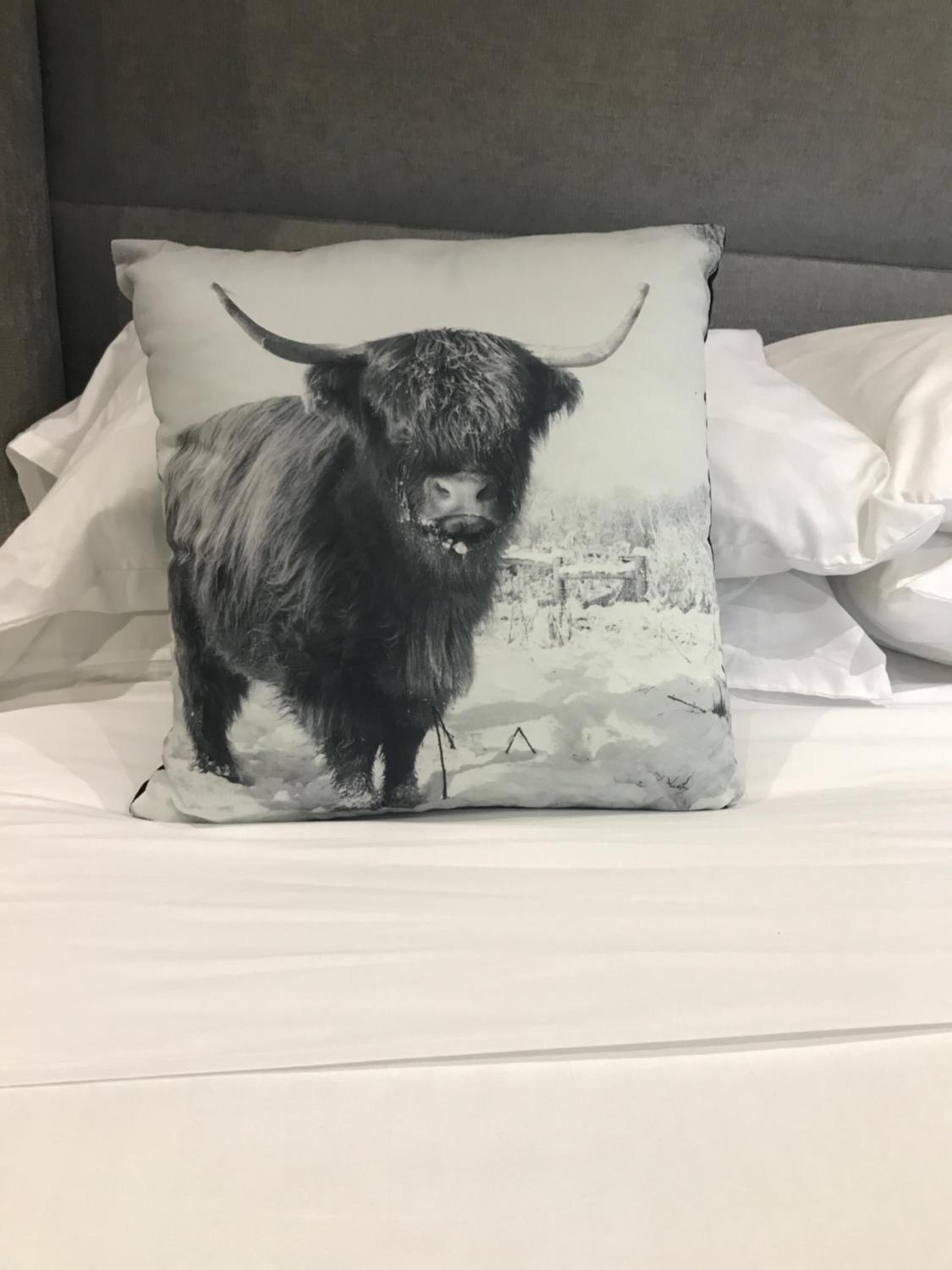 The Bulls Head bed and breakfast