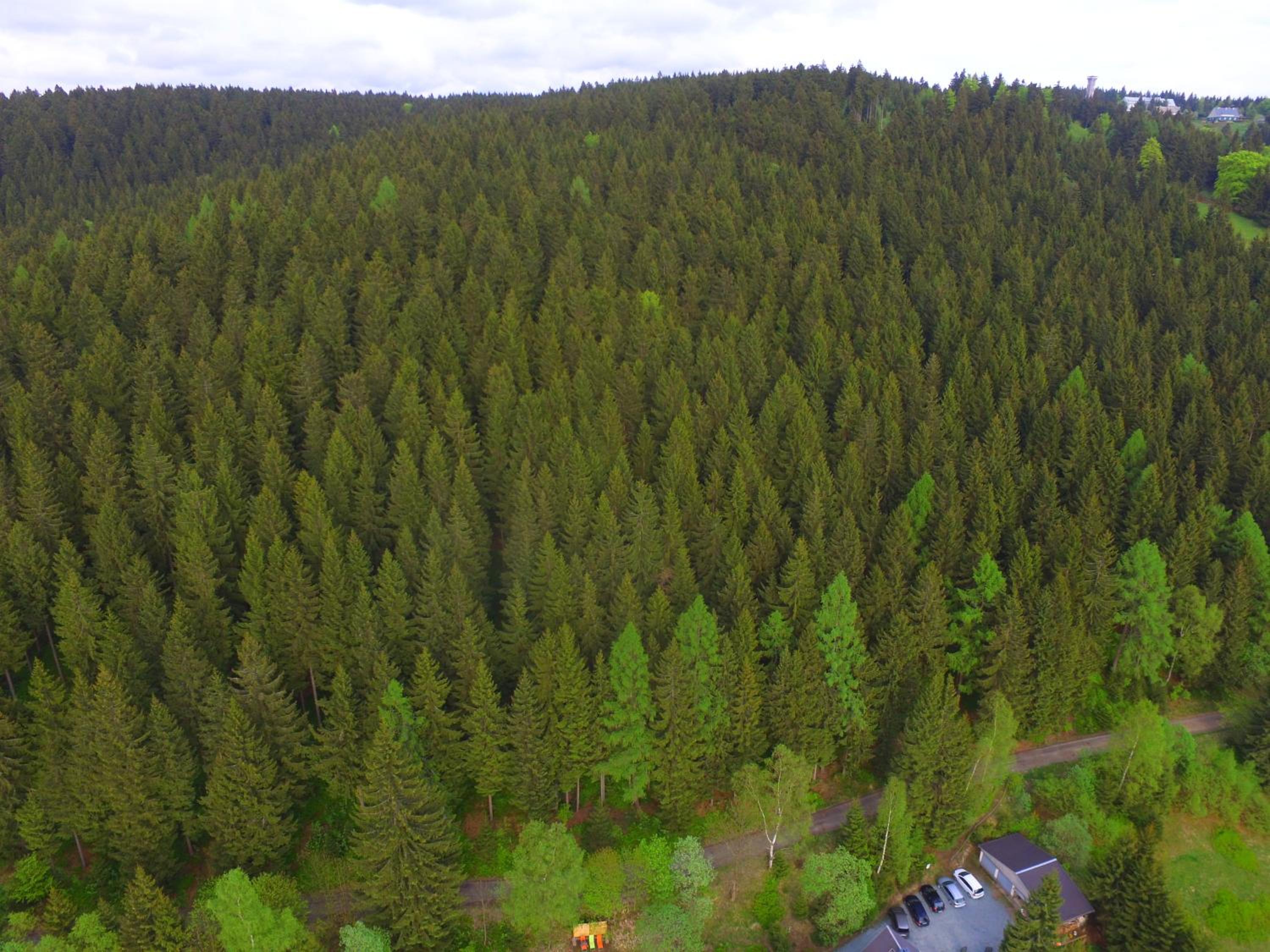 Greizer Kammhütte Gaststätte & Pension