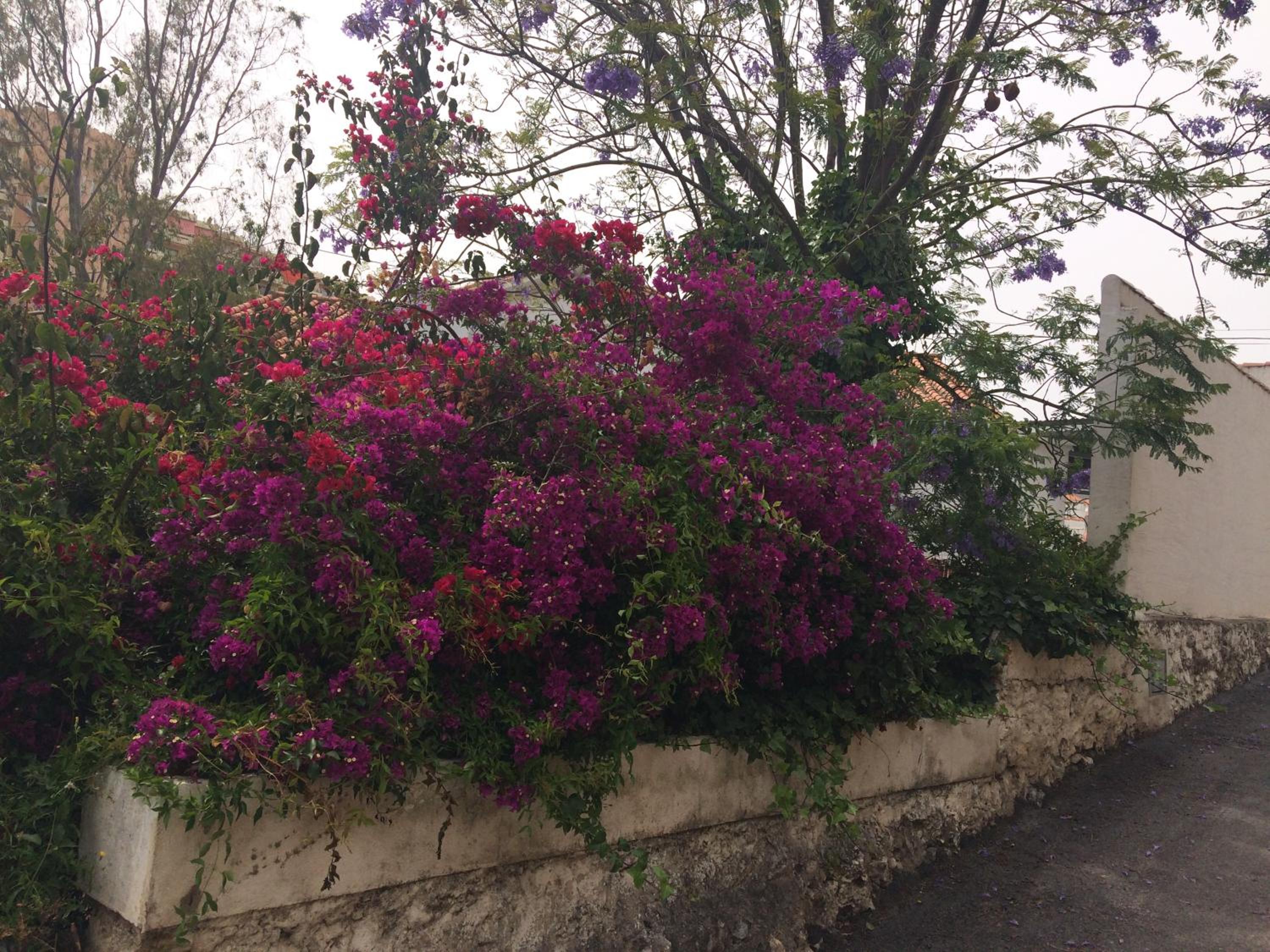 Photo 39