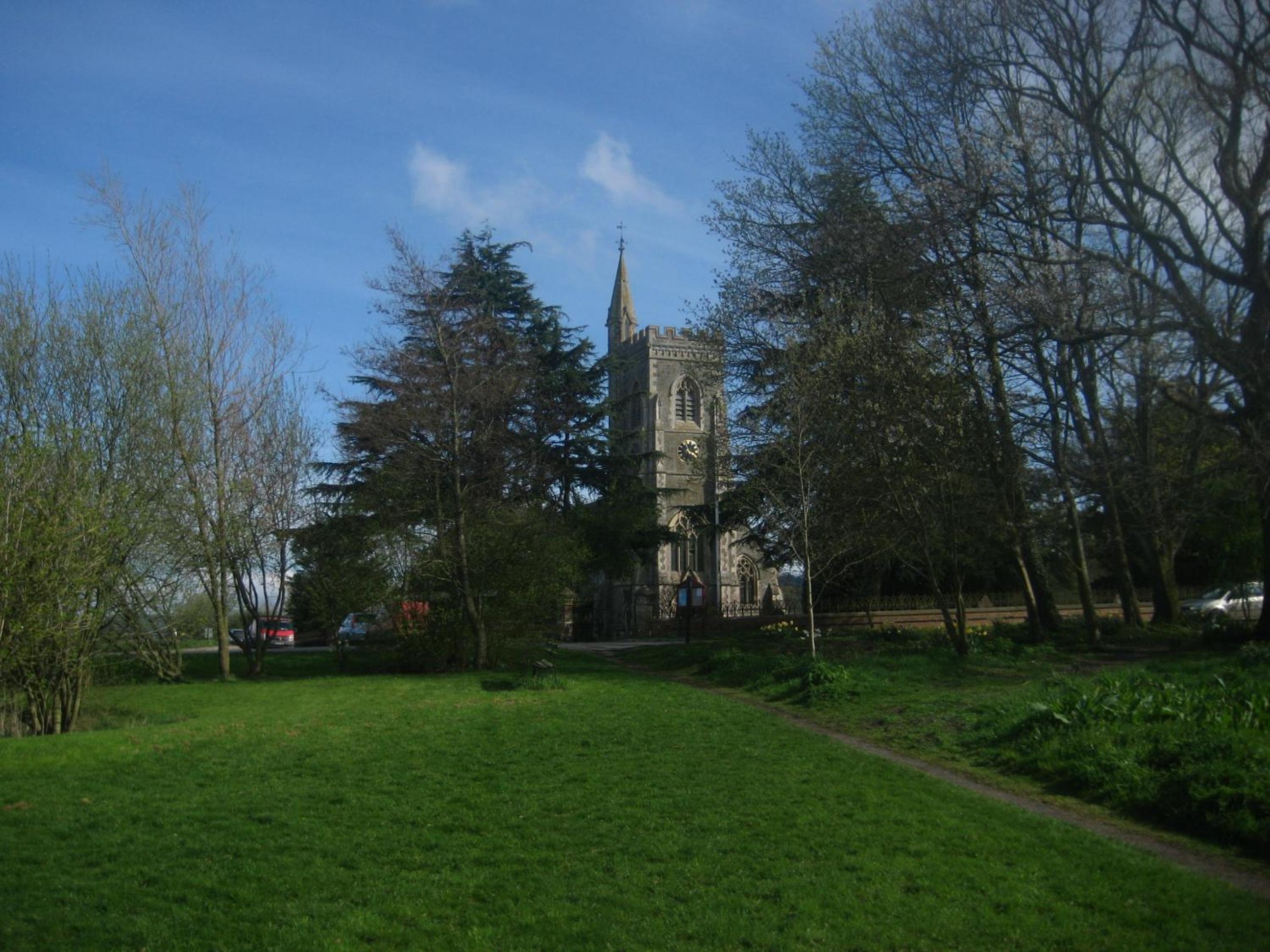 Photo 7