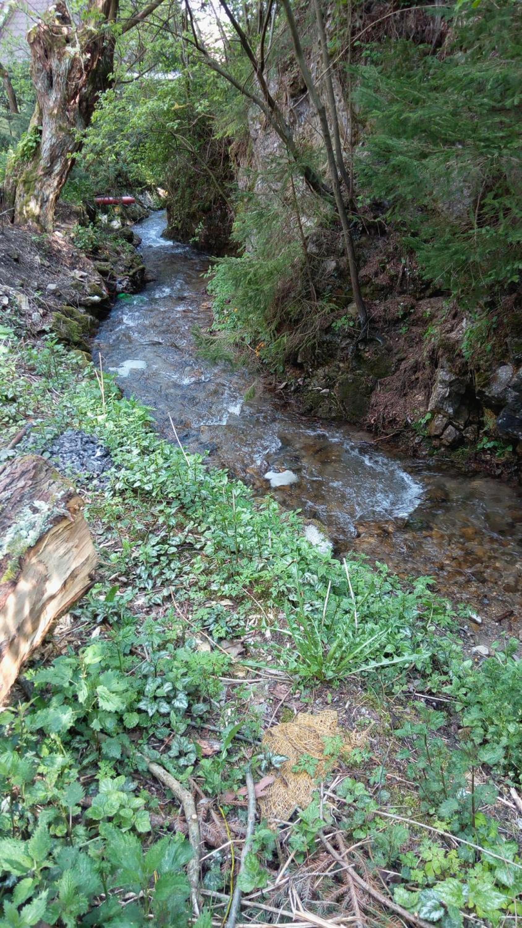 Photo 46