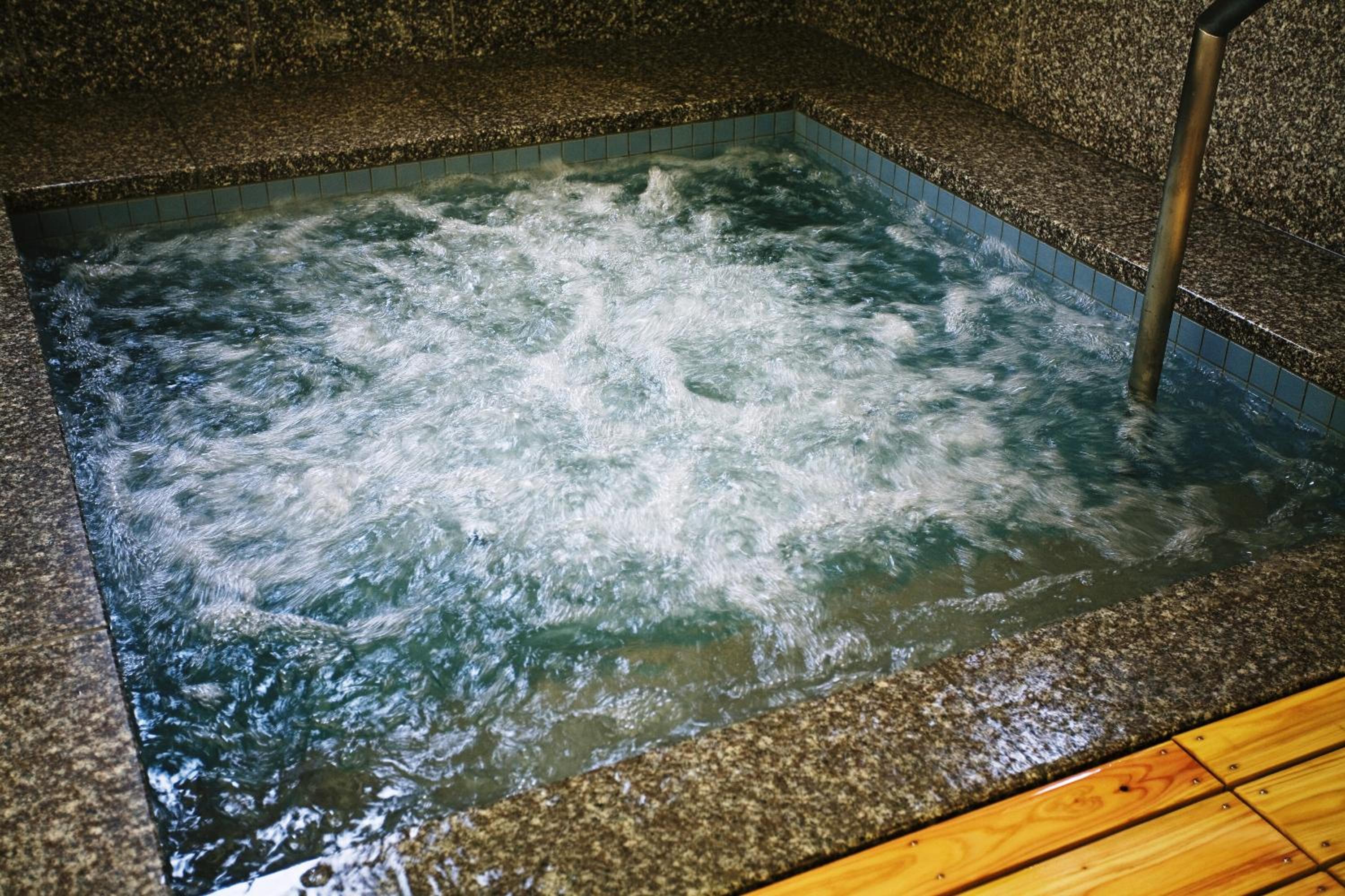 Syoenso Hozugawatei