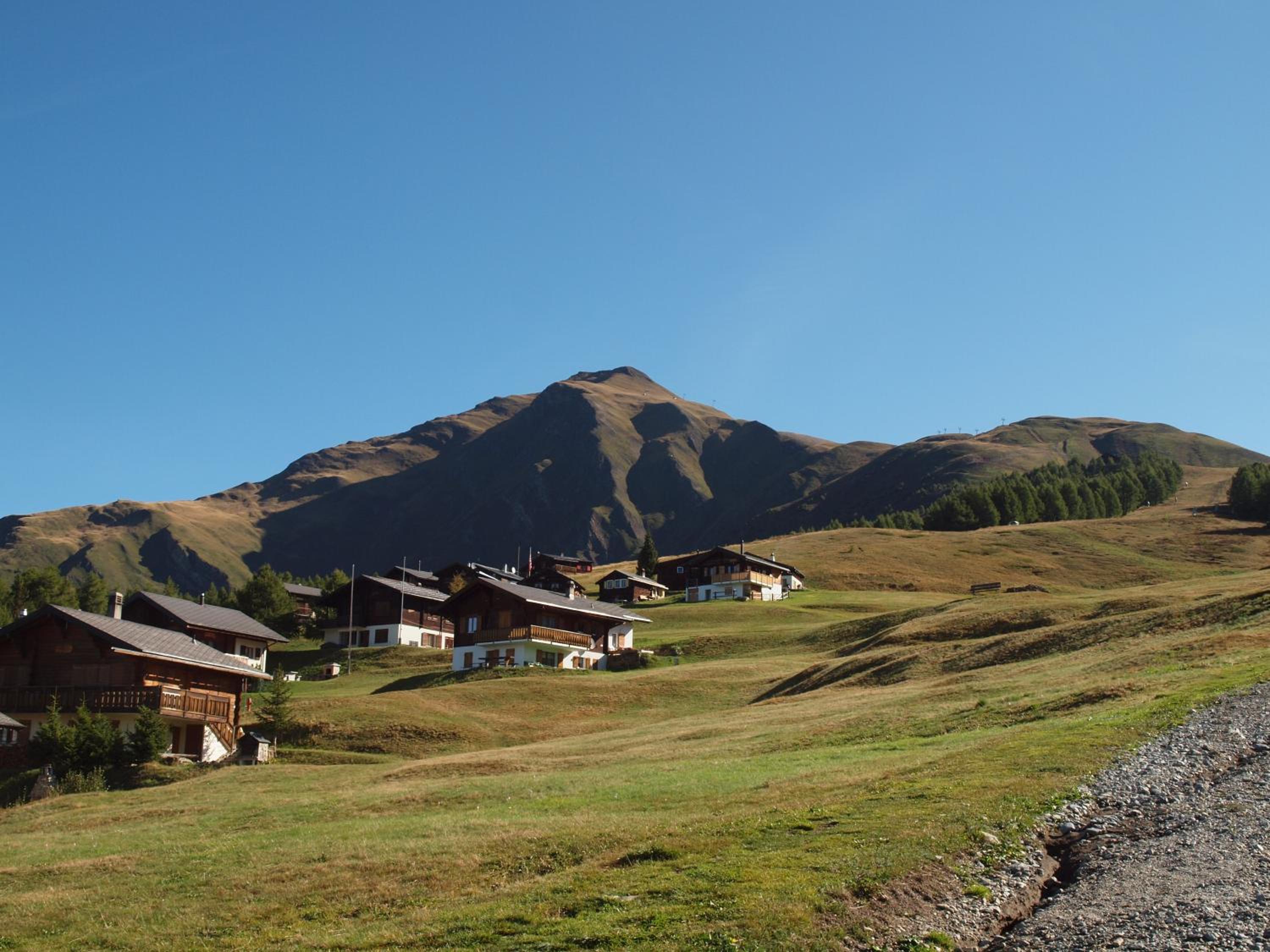 Chalet Gerbera view 5