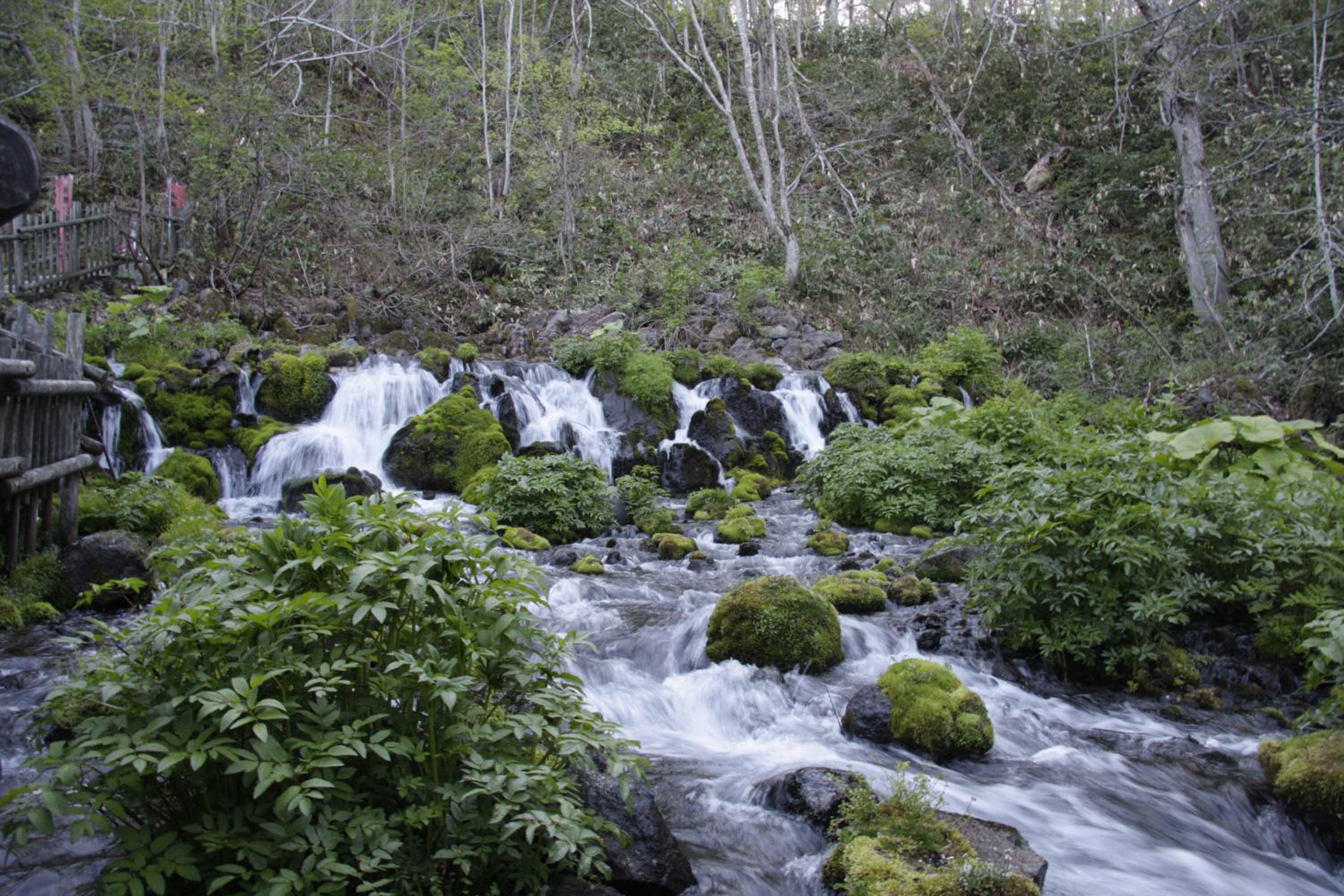 Photo 44