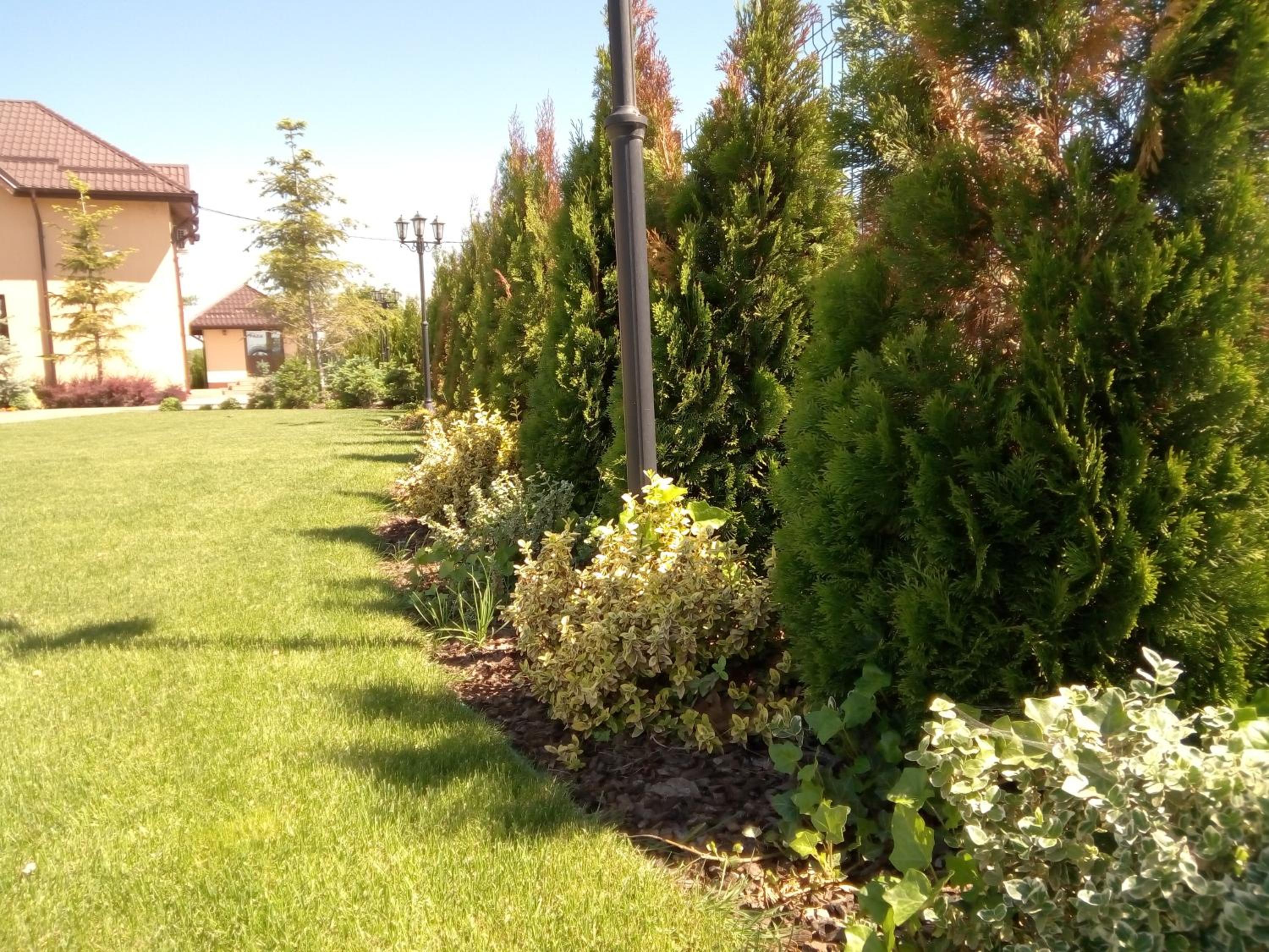 Photo 35