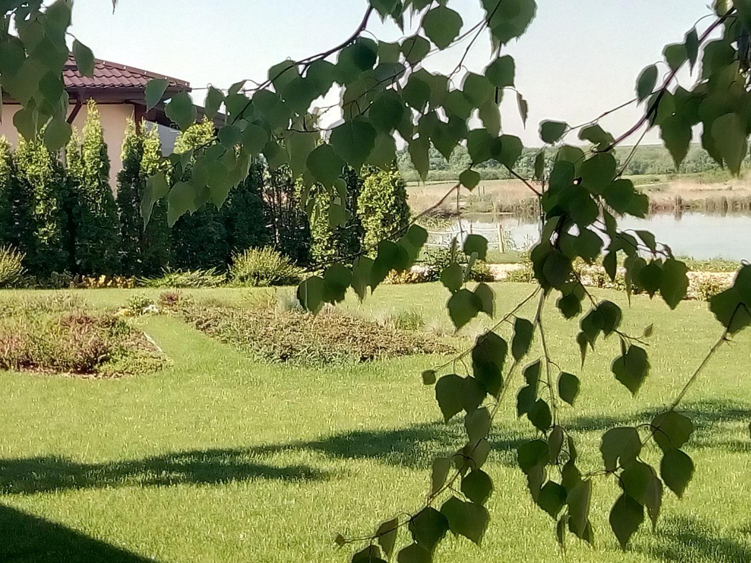 Photo 31