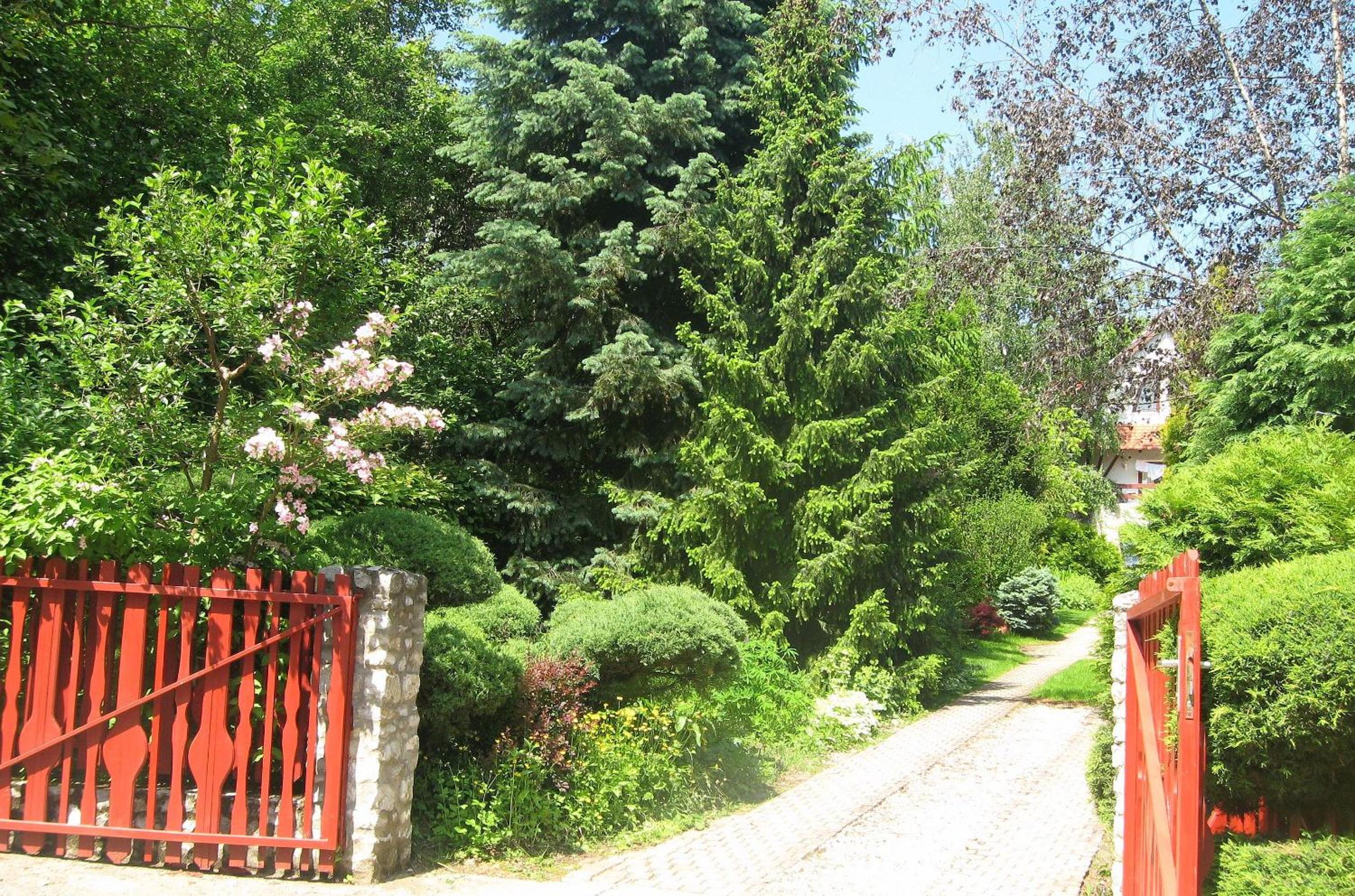 Photo 29