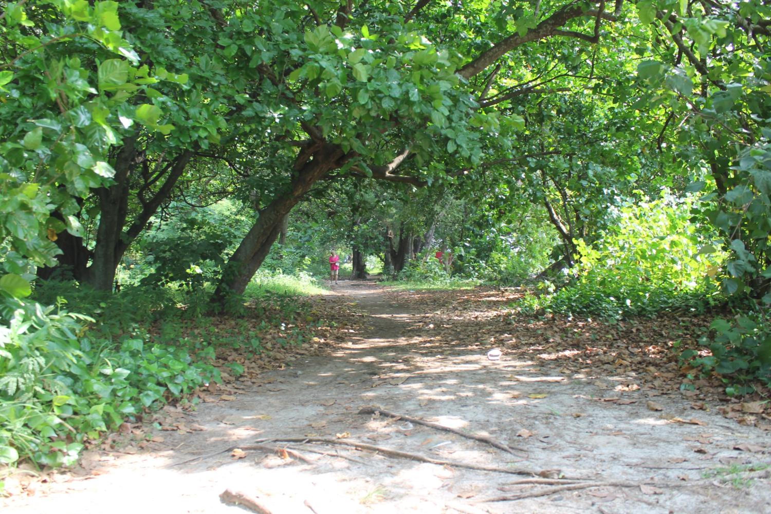 Photo 46