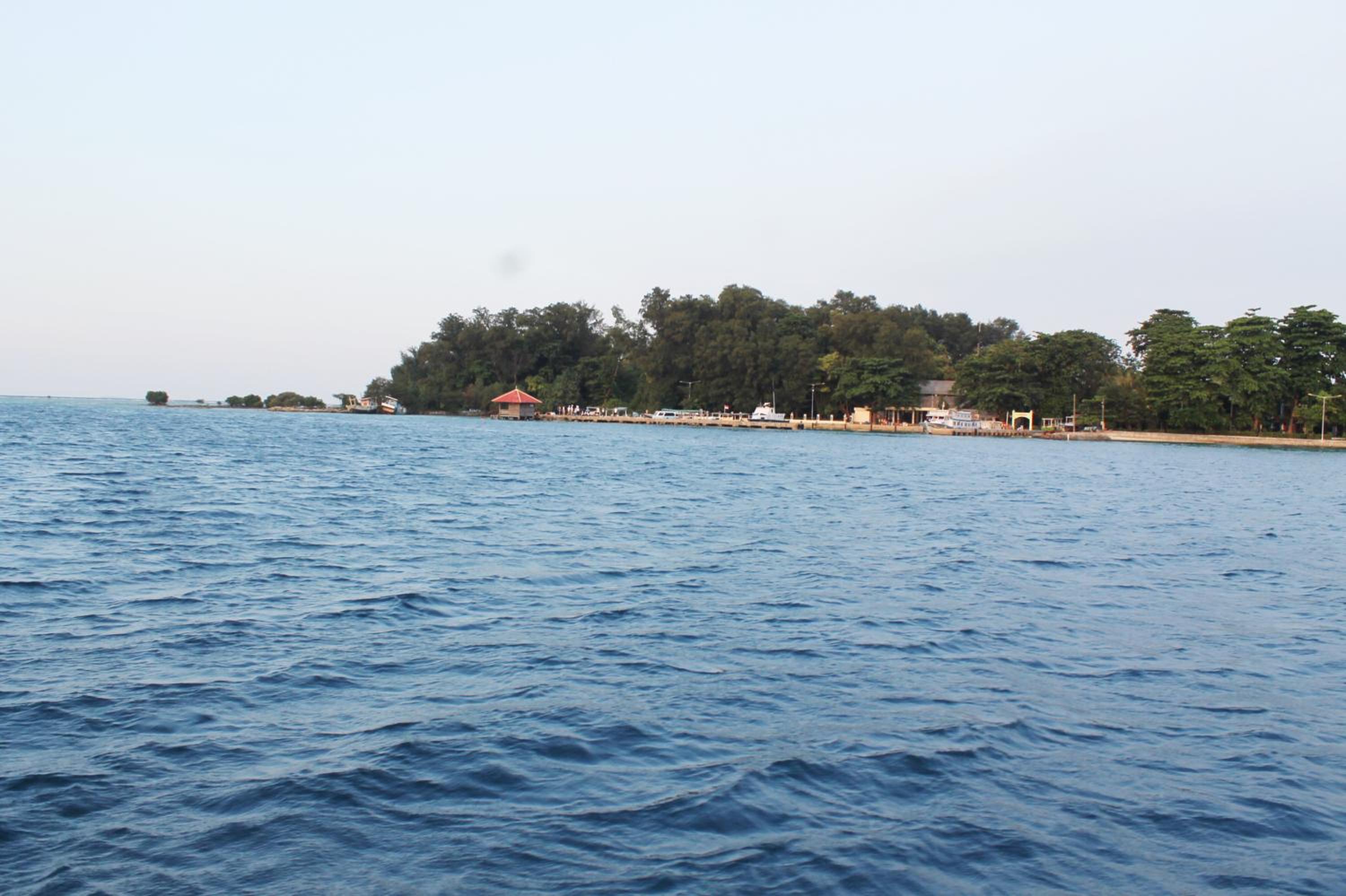 Photo 25