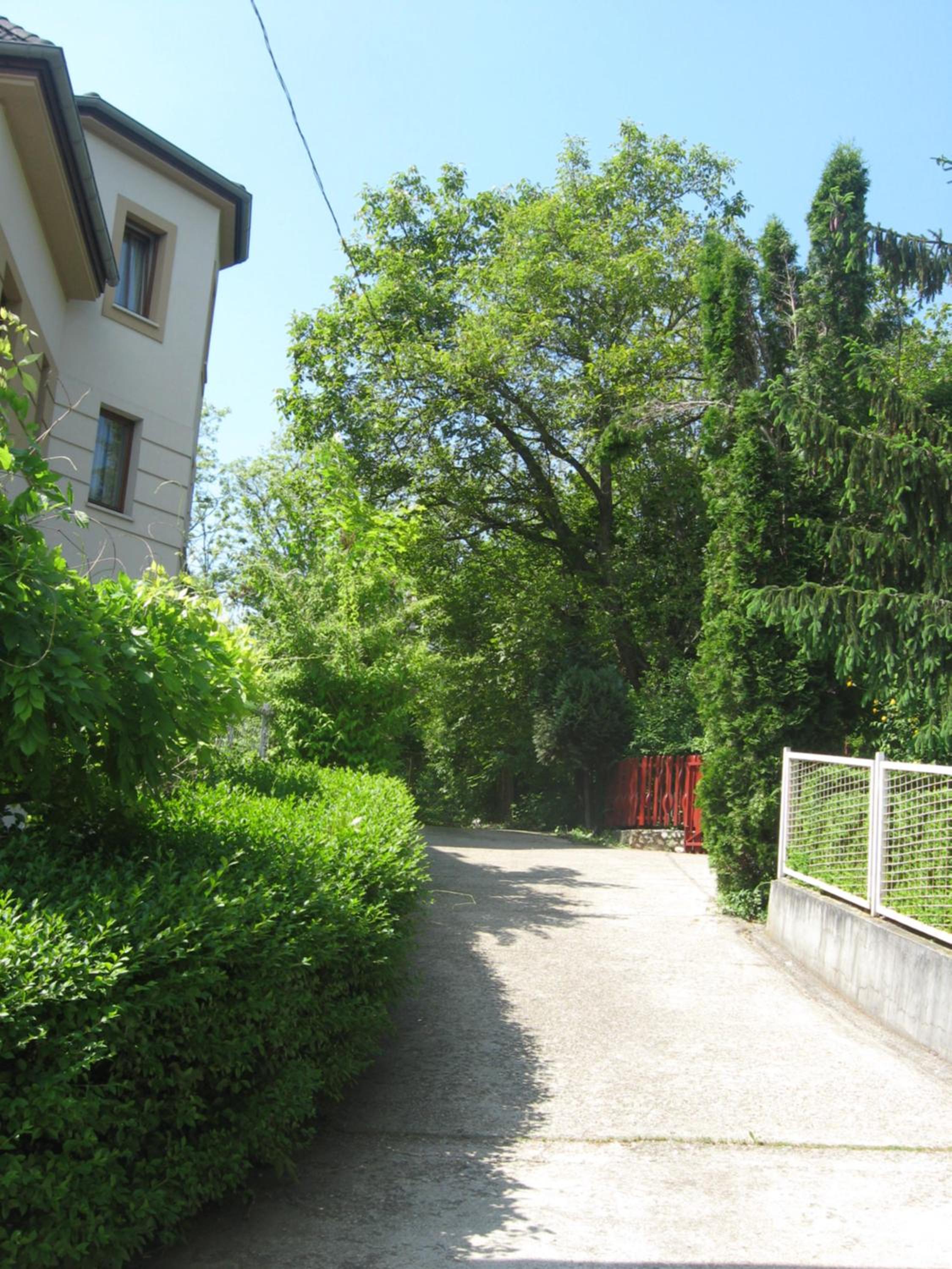 Photo 30