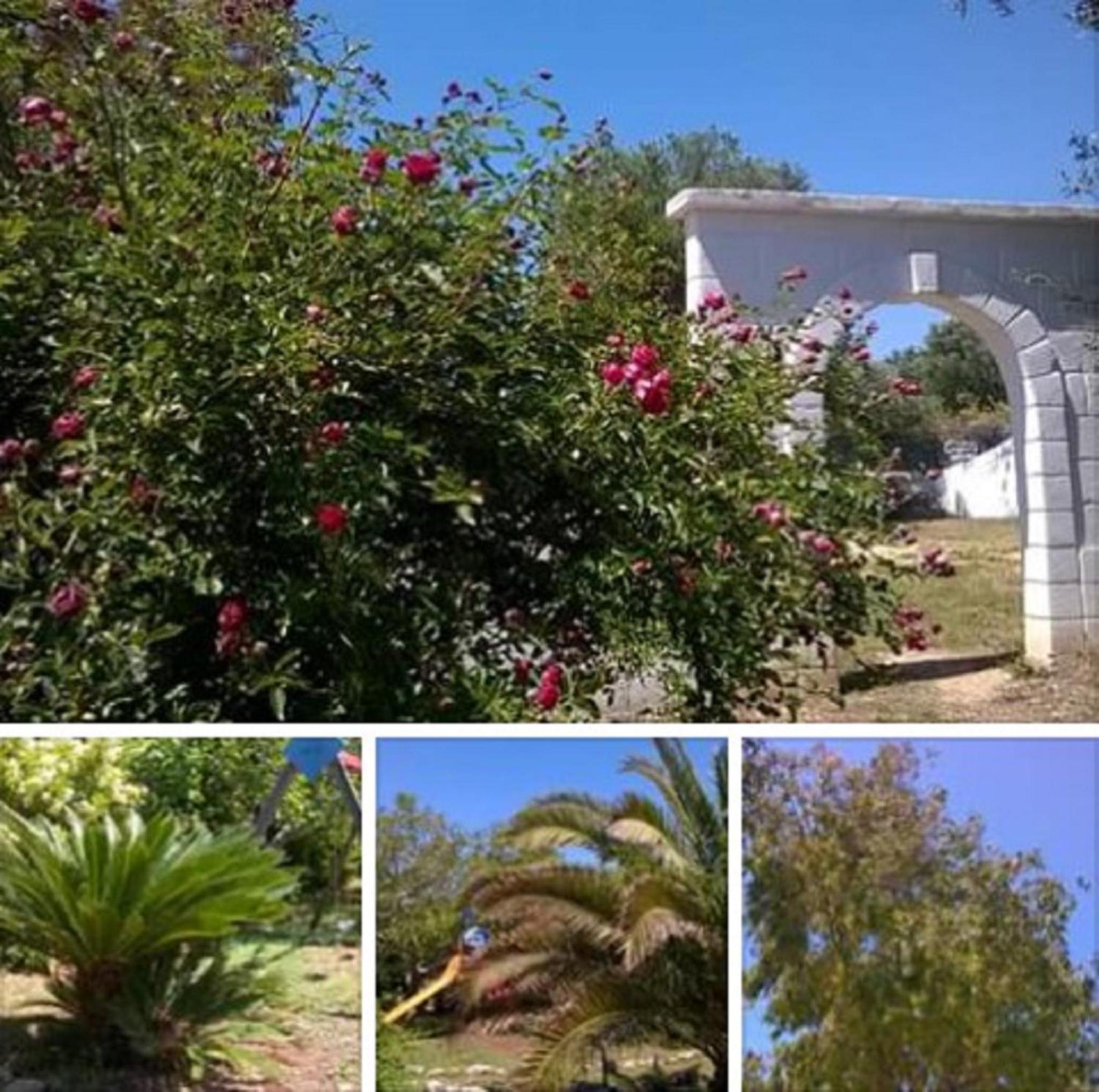 B&b Aurasia