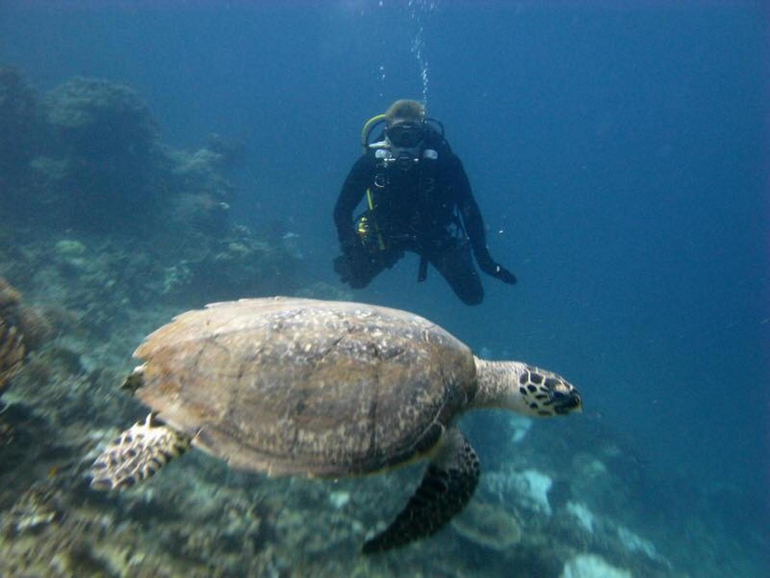 Photo 20