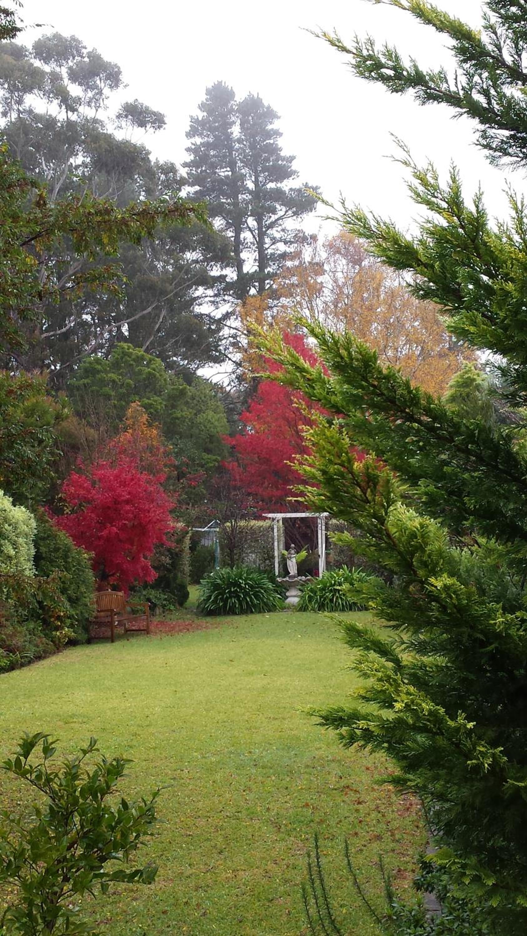 Winston Cottage at Three Sisters
